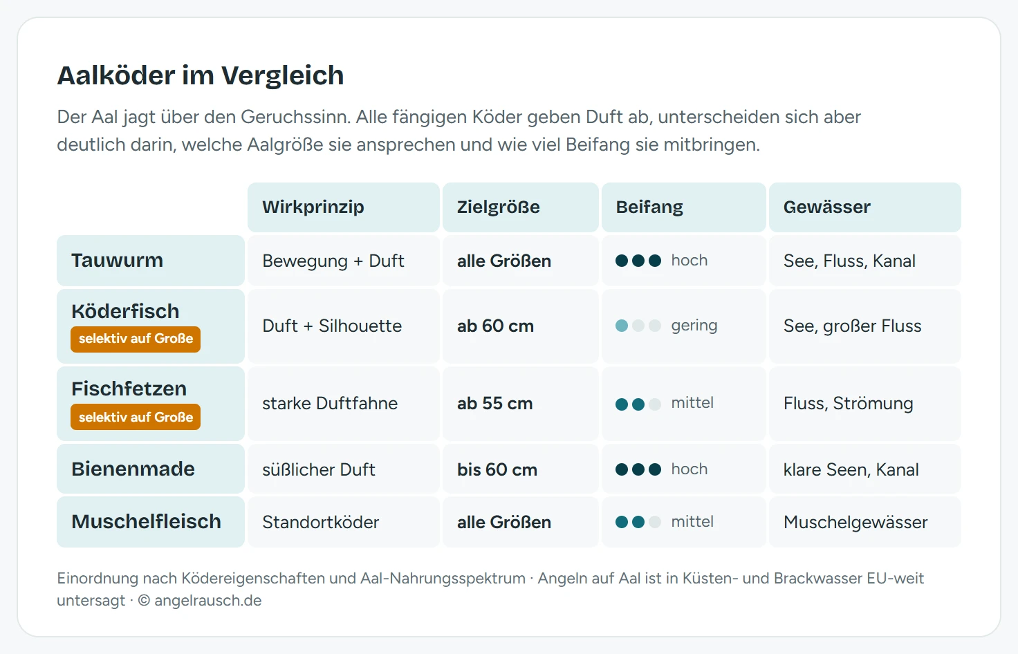 Vergleichsmatrix von fünf Aalködern. Tauwurm: Wirkprinzip Bewegung und Duft, alle Größen, Beifang hoch, für See, Fluss und Kanal. Köderfisch: Duft und Silhouette, ab 60 cm, selektiv auf große Aale, Beifang gering, für See und großen Fluss. Fischfetzen: starke Duftfahne, ab 55 cm, selektiv auf große Aale, Beifang mittel, für Fluss und Strömung. Bienenmade: süßlicher Duft, bis 60 cm, Beifang hoch, für klare Seen und Kanal. Muschelfleisch: Standortköder, alle Größen, Beifang mittel, für Muschelgewässer