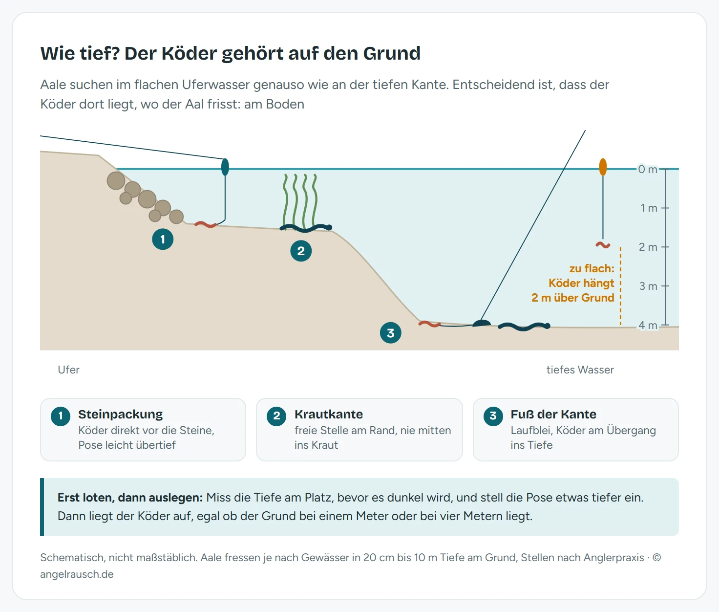 Schnitt vom Ufer ins Tiefe mit Tiefenskala von 0 bis 4 Meter: Vor einer Steinpackung liegt der Köder einer Posenmontage in rund 1,4 Meter Tiefe auf dem Grund, am Rand eines Krautfelds liegt ein Aal am Boden, am Fuß der Kante liegt der Köder einer Laufbleimontage in 4 Meter Tiefe. Rechts hängt der Köder einer zu flach eingestellten Pose zwei Meter über dem Grund, orange als Fehler markiert.