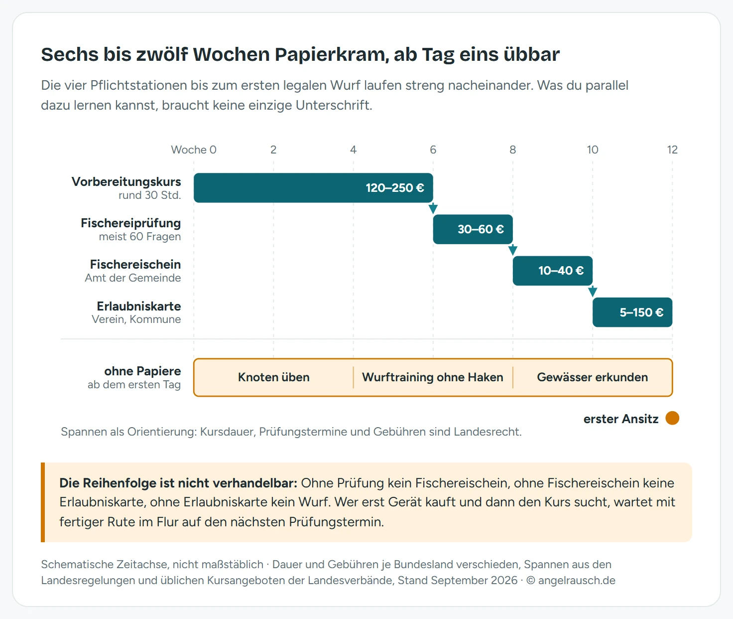 Zeitachse über zwölf Wochen mit dem Weg zum ersten Fisch. Oben die Pflichtspur mit vier Stationen: Vorbereitungskurs über etwa 30 Unterrichtsstunden in Woche 1 bis 6 für 120 bis 250 Euro, Fischereiprüfung in Woche 6 bis 8 für 30 bis 60 Euro, Ausstellung des Fischereischeins beim Amt in Woche 8 bis 10 für 10 bis 40 Euro pro Jahr, Erlaubniskarte für das Gewässer ab Woche 10 für 5 bis 150 Euro. Unten die Übungsspur, die schon ab Woche 1 ohne Papiere möglich ist: Knoten binden, Wurftraining mit Übungsgewicht ohne Haken, Gewässer anschauen und Gerät zusammenstellen. Beide Spuren treffen sich am Ende bei der ersten Angeltour.