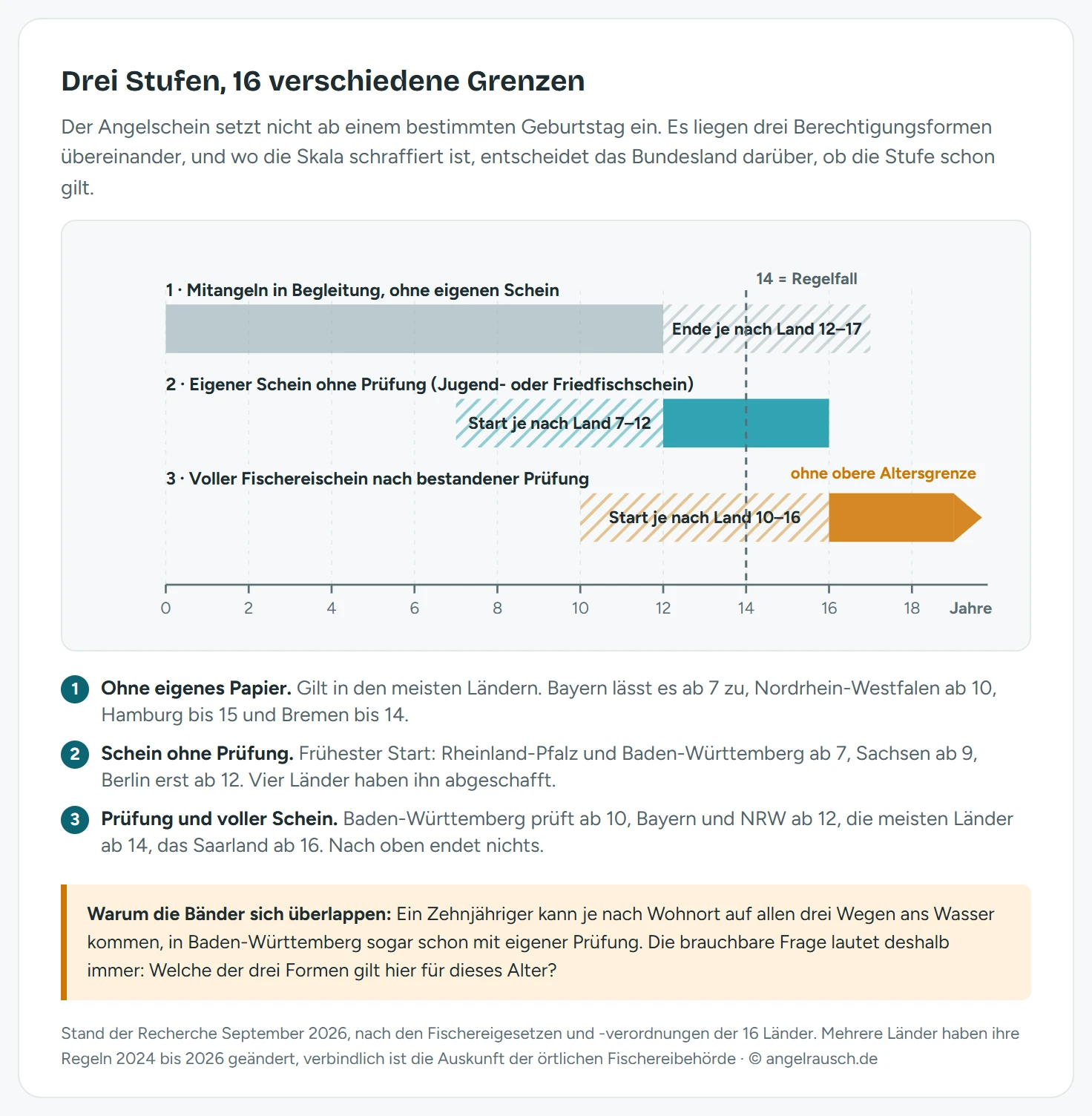 Waagerechte Altersskala von 0 bis 18 Jahren mit drei übereinanderliegenden Bändern: Das oberste Band Mitangeln in Begleitung reicht von 0 bis etwa 15 Jahre, das mittlere Band Eigener Schein ohne Prüfung beginnt je nach Bundesland zwischen 7 und 12 Jahren und endet bei 16, das unterste Band Voller Fischereischein nach Prüfung beginnt zwischen 10 und 16 Jahren und läuft ohne obere Grenze weiter; Marker auf den Bändern zeigen die frühesten und spätesten Bundesländer, darunter Rheinland-Pfalz und Baden-Württemberg mit 7 Jahren, Sachsen mit 9, Berlin mit 12 und die Prüfungsschwellen mit 10, 12 und 14 Jahren