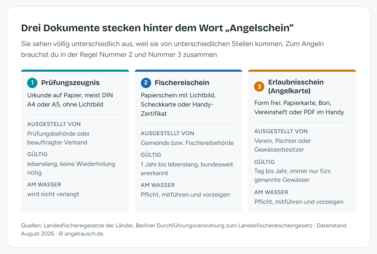 Übersichtsgrafik der drei Dokumente hinter dem Begriff Angelschein: Prüfungszeugnis als Urkunde ohne Lichtbild von der Prüfungsbehörde, Fischereischein mit Lichtbild oder als Scheckkarte von der Gemeinde, Erlaubnisschein in freier Form von Verein oder Pächter