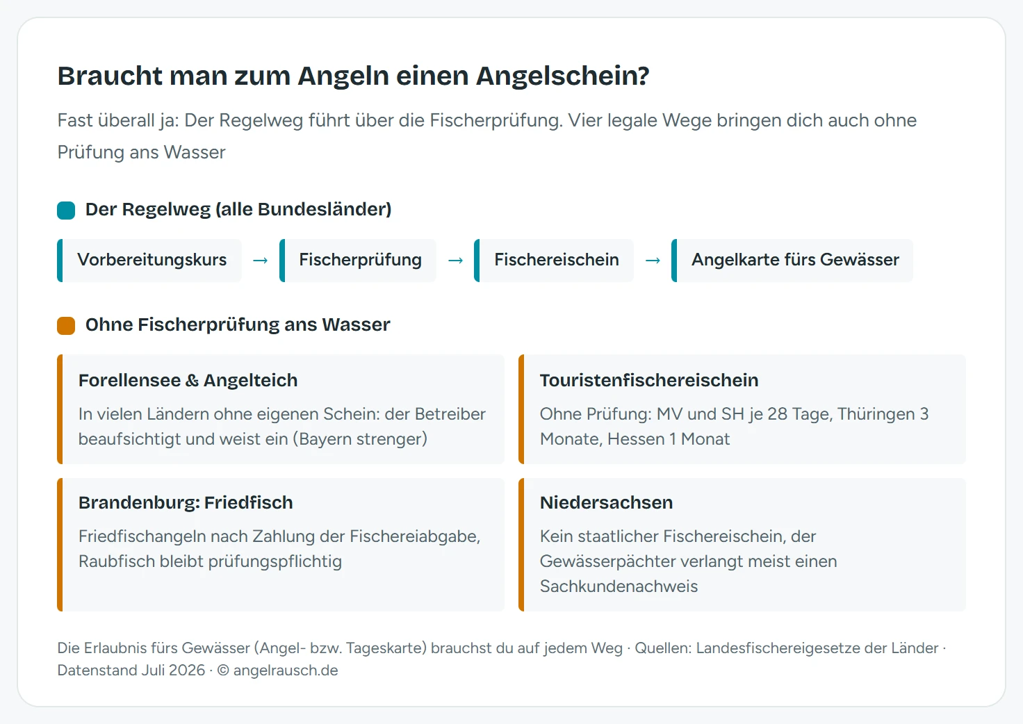 Schema: Der Regelweg zum Angeln führt über Vorbereitungskurs, Fischerprüfung, Fischereischein und Angelkarte; vier Wege ohne Prüfung sind gewerbliche Forellenseen, der Touristenfischereischein in MV, SH, Thüringen und Hessen, das Friedfischangeln in Brandenburg nach Zahlung der Fischereiabgabe sowie der Sachkundenachweis statt Schein in Niedersachsen