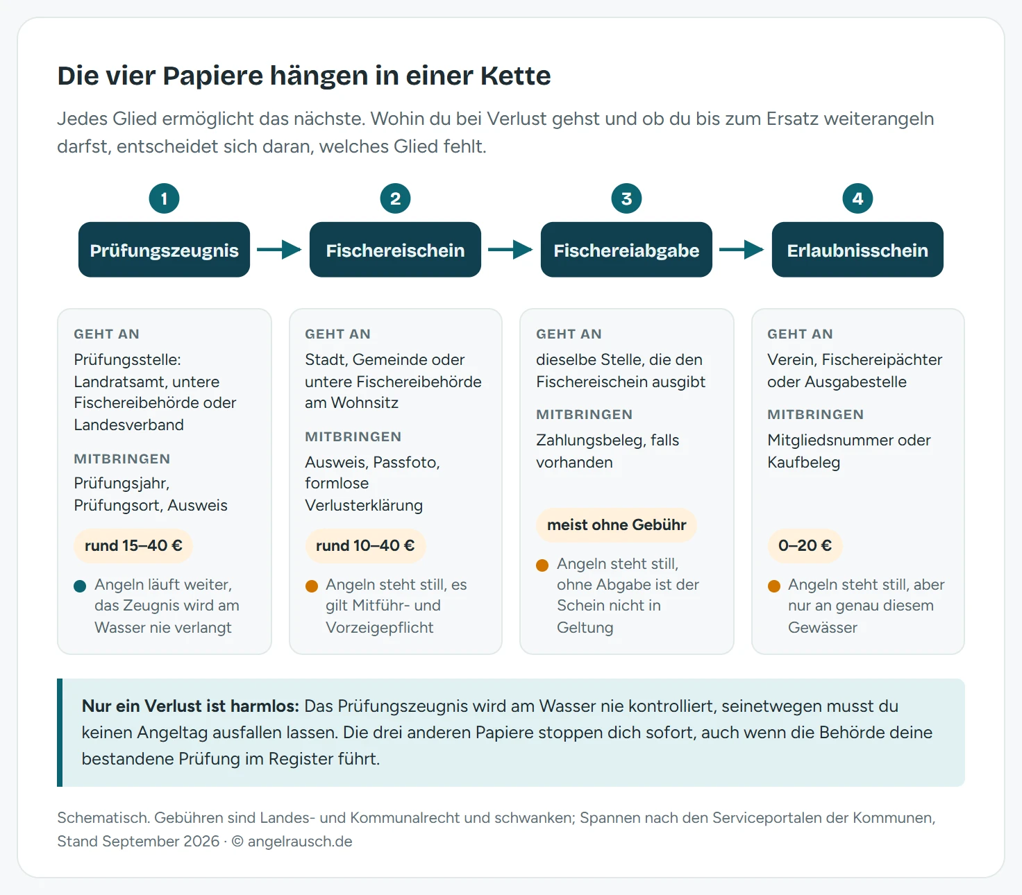 Kettendiagramm der vier Angelpapiere: Prüfungszeugnis ermöglicht den Fischereischein, dieser wird durch die Fischereiabgabe in Geltung gesetzt und berechtigt zum Erlaubnisschein. Unter jedem Kettenglied steht die zuständige Stelle für die Ersatzausstellung, die mitzubringenden Unterlagen, die Gebührenspanne von null bis vierzig Euro und ob das Angeln bis zum Ersatz weiterläuft. Nur beim verlorenen Prüfungszeugnis läuft es weiter, die drei anderen Verluste stoppen sofort.