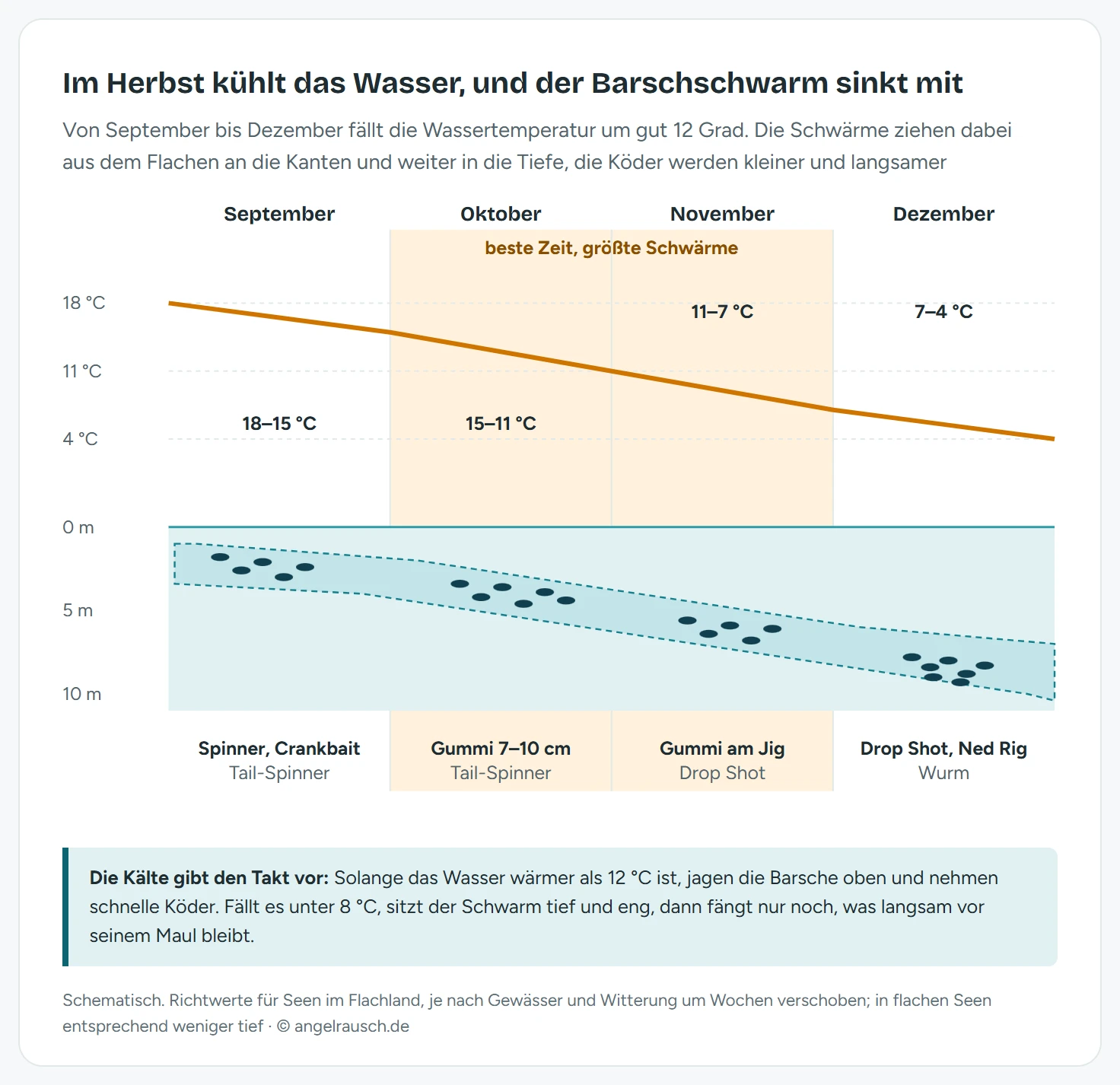 Zeitachse von September bis Dezember: oben eine fallende Kurve der Wassertemperatur von 18 auf 4 Grad, Oktober und November als beste Zeit hervorgehoben. Unten ein Tiefenprofil, in dem der Barschschwarm von 1 bis 4 Metern im September über 2 bis 6 und 4 bis 8 Meter bis auf 6 bis 10 Meter im Dezember absinkt. Darunter je Monat die passenden Köder.