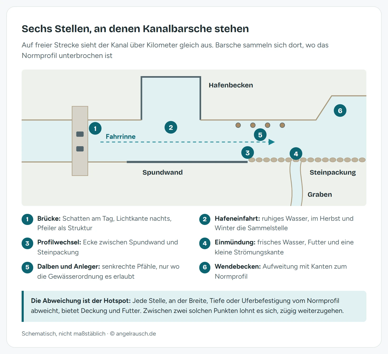 Draufsicht auf einen Kanalabschnitt mit sechs nummerierten Barsch-Hotspots: Brückenpfeiler, Einfahrt eines Hafenbeckens, Übergang von Spundwand zu Steinpackung, Mündung eines Grabens, Dalbenreihe vor dem Ufer und ein Wendebecken, in dem sich der Kanal aufweitet.