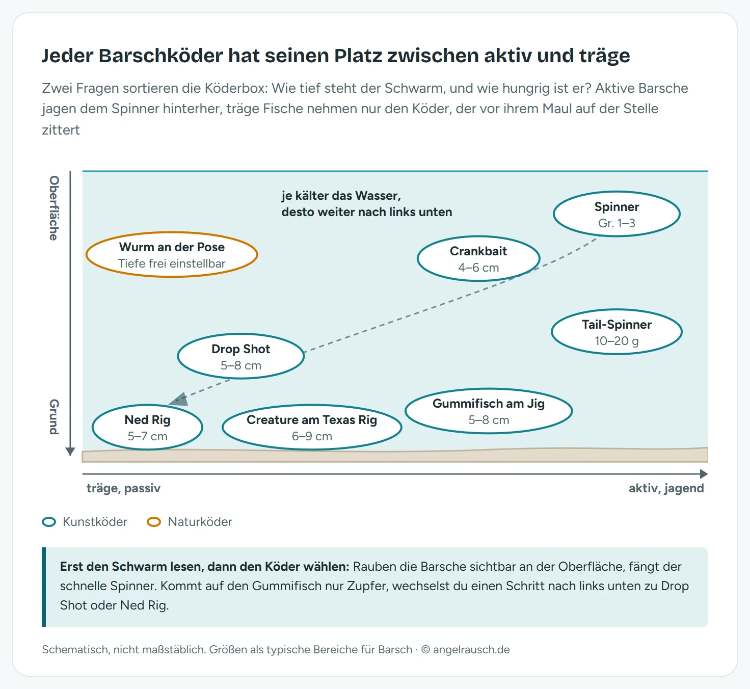 Köderkarte für Barsch mit zwei Achsen: waagerecht von träge bis aktiv, senkrecht von der Oberfläche bis zum Grund. Rechts oben Spinner und Crankbait, rechts in der Mitte Tail-Spinner, mittig am Grund Gummifisch am Jig, links unten Drop Shot, Creature am Texas Rig und Ned Rig, links oben Wurm an der Pose. Ein gestrichelter Pfeil zeigt von warm und aktiv nach kalt und träge.