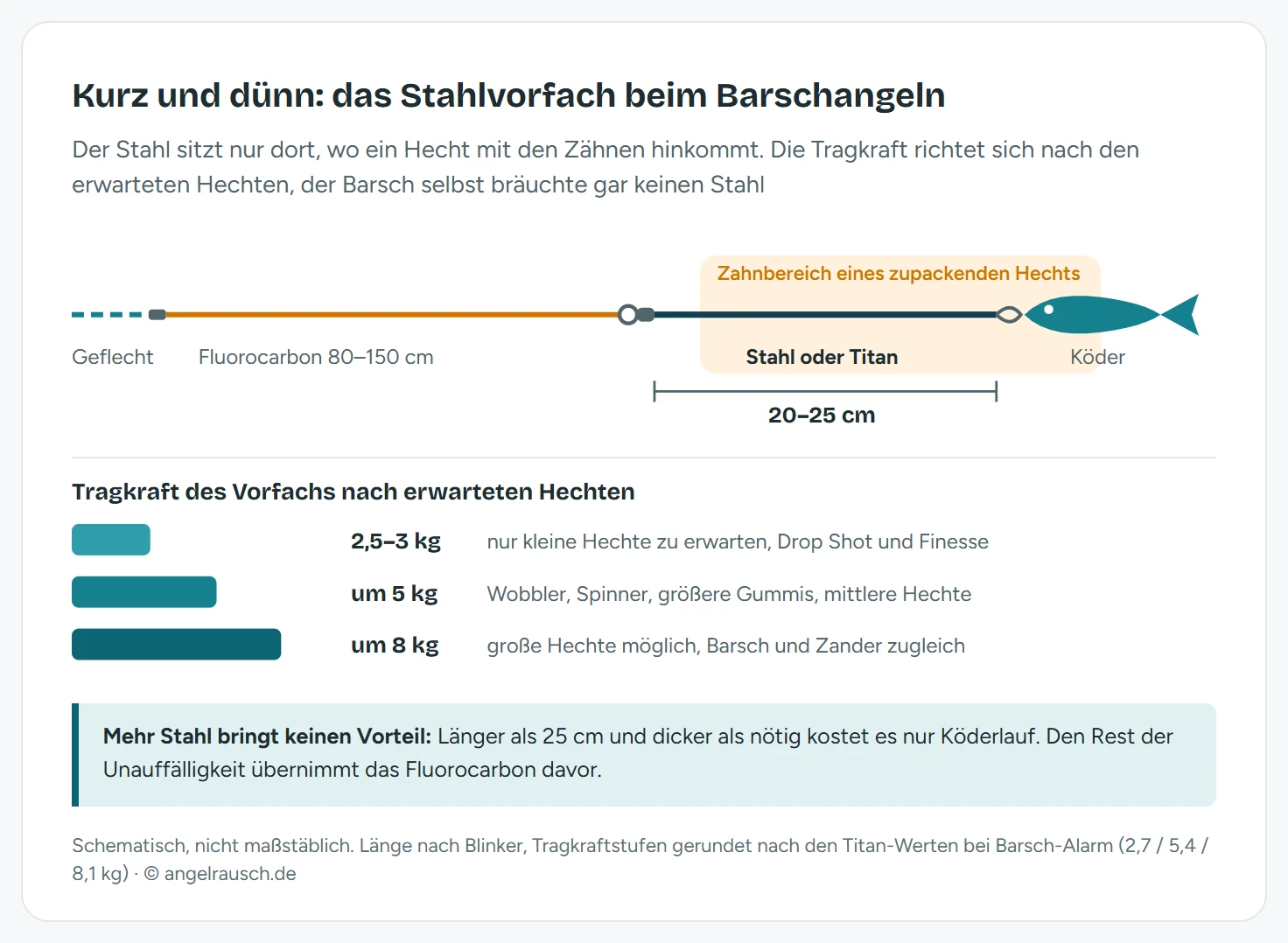 Längsschnitt einer Barschmontage: geflochtene Hauptschnur, 80 bis 150 Zentimeter Fluorocarbon, kleiner Wirbel, 20 bis 25 Zentimeter Stahl oder Titan im markierten Zahnbereich eines Hechts, Snap und kleiner Gummifisch. Darunter drei Tragkraftstufen: 2,5 bis 3 Kilogramm bei kleinen Hechten und Finesse, um 5 Kilogramm bei Wobblern und größeren Gummis, um 8 Kilogramm bei großen Hechten oder Zander als Beifang.