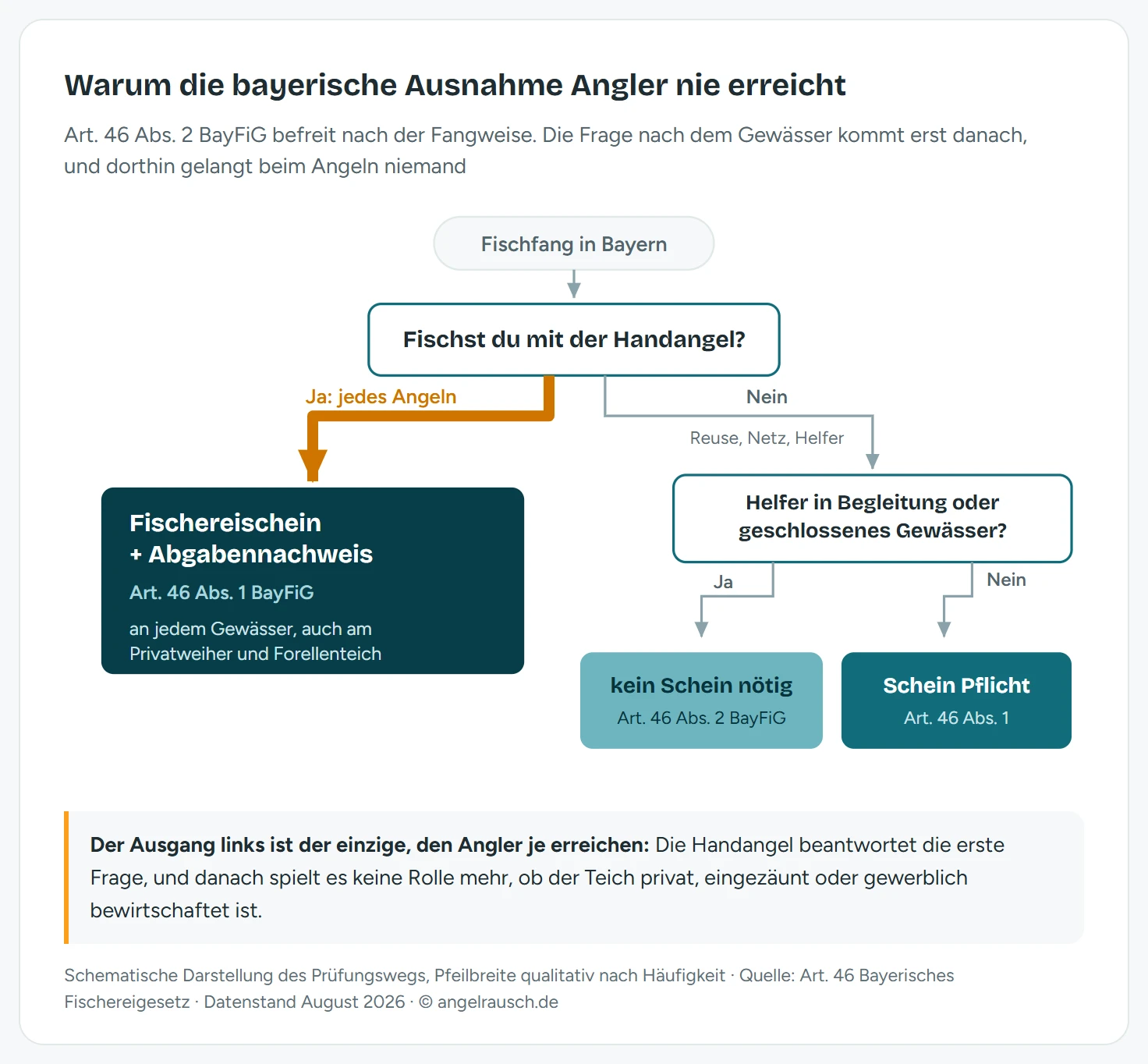 Entscheidungsbaum zur Fischereischeinpflicht in Bayern nach Art. 46 Absatz 2 des Bayerischen Fischereigesetzes. Ausgangsfrage: Fischst du mit der Handangel? Der breite Ja-Zweig, der für jedes Angeln gilt, führt direkt zur Scheinpflicht mit Fischereischein und Nachweis der Fischereiabgabe, und zwar an jedem Gewässer einschließlich Privatweiher und Forellenteich. Nur der schmale Nein-Zweig erreicht die zweite Prüfung, ob jemand als Helfer eines Fischereischeininhabers in dessen Begleitung oder in einem geschlossenen Gewässer nach Art. 2 Nummer 1 und 2 fischt. Erst dort endet ein Weg ohne Fischereischein