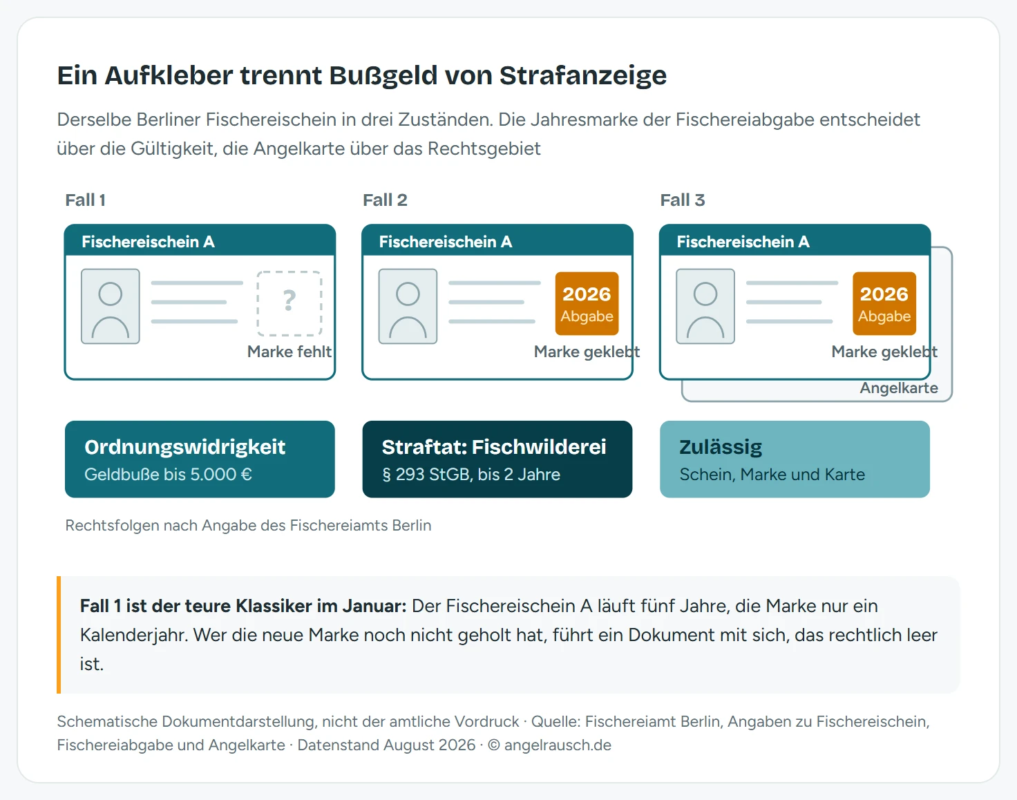 Drei nebeneinander gezeichnete Schemata desselben Berliner Fischereischeins zeigen die drei möglichen Situationen am Wasser. Fall eins: ein Fischereischein mit leerem, gestrichelt umrandetem Markenfeld. Ohne die eingeklebte Jahresmarke der Fischereiabgabe ist der Schein ungültig, das ist eine Ordnungswidrigkeit mit Geldbuße bis 5.000 Euro. Fall zwei: ein Fischereischein mit eingeklebter Marke für 2026, aber ohne Angelkarte. Das ist Fischwilderei nach Paragraf 293 Strafgesetzbuch und damit eine Straftat mit Freiheitsstrafe bis zu zwei Jahren. Fall drei: ein Fischereischein mit Marke, dahinter zusätzlich die Angelkarte für das Gewässer. Nur diese Kombination ist zulässig. Unter jedem Dokument steht die zugehörige Rechtsfolge in einem farbigen Kasten
