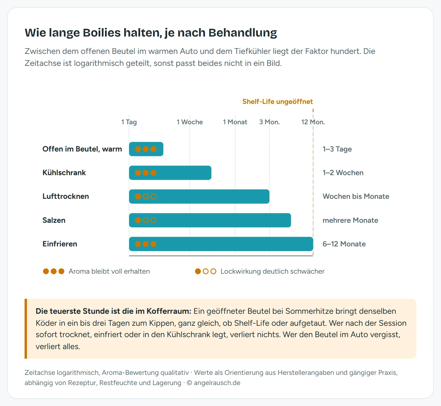 Zeitachse von einem Tag bis zwölf Monaten mit fünf Balken für verschiedene Lagerungsarten von Boilies. Offen im Beutel bei Wärme hält ein bis drei Tage, luftgetrocknet mehrere Wochen bis Monate, gesalzen mehrere Monate, ungeöffnete Shelf-Life-Boilies viele Monate bis über ein Jahr, eingefroren sechs bis zwölf Monate. Zusätzlich eine Bewertung je Methode, wie stark Aroma und Auftrieb erhalten bleiben.