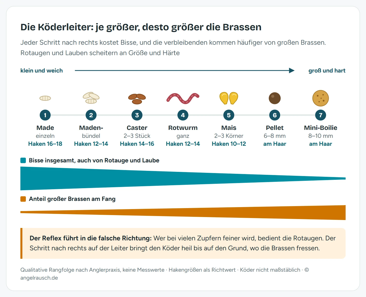 Köderleiter für das Brassenangeln als waagerechte Skala mit sieben gezeichneten Ködern von klein nach groß: einzelne Made, Madenbündel, Caster, Rotwurm, zwei Maiskörner, Pellet 8 Millimeter und Mini-Boilie 10 Millimeter. Darunter zwei gegenläufige Keile: Die Zahl der Bisse insgesamt, auch von Rotauge und Kleinfisch, nimmt von links nach rechts ab. Der Anteil großer Brassen an den Fängen nimmt von links nach rechts zu. Qualitative Rangfolge nach Anglerpraxis