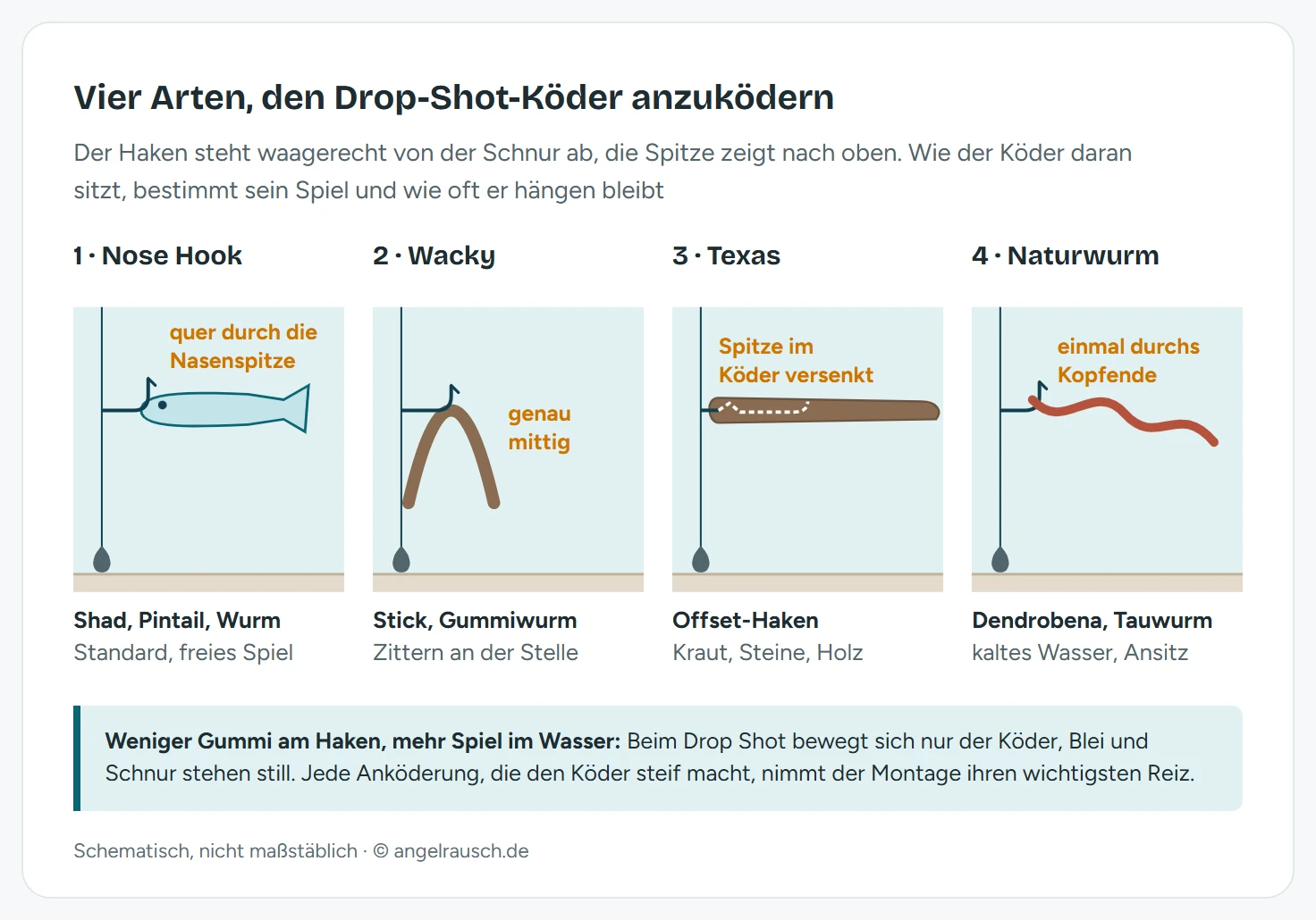 Vier Schemazeichnungen der Drop-Shot-Anköderung: Nose Hook mit dem Haken quer durch die Nasenspitze eines Gummifisches, Wacky mit einem mittig gehakten Gummiwurm, dessen Enden nach unten hängen, Texas mit einem gestreckten Köder auf dem Offset-Haken und versenkter Spitze, Naturwurm einmal durch das Kopfende gestochen.