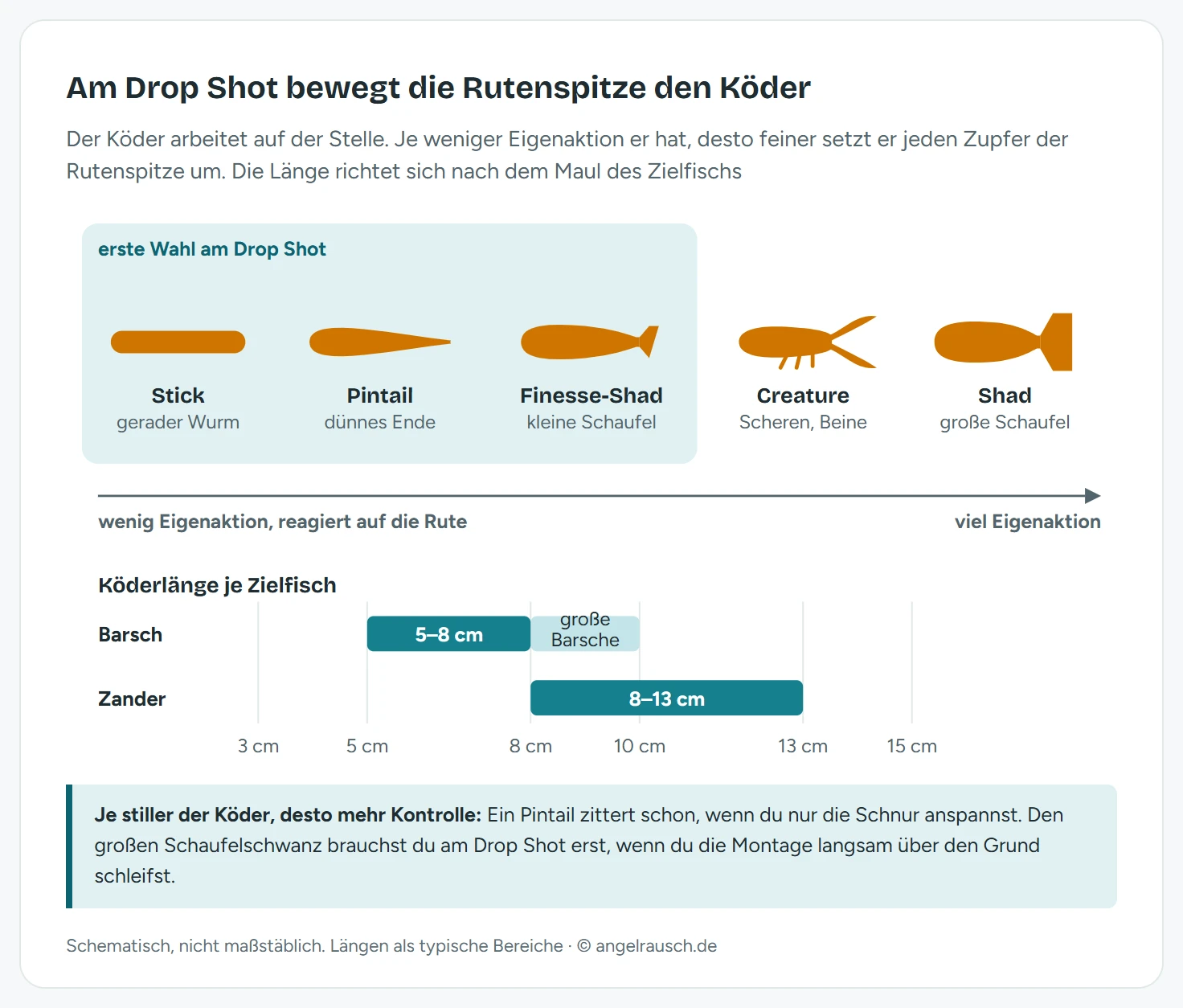 Oben fünf gezeichnete Köderformen auf einer Skala der Eigenaktion: Stick, Pintail und Finesse-Shad links als erste Wahl am Drop Shot, Creature und Shad mit großem Schaufelschwanz rechts. Unten eine Zentimeterskala mit Balken: Barsch 5 bis 8 cm, für große Barsche bis 10 cm, Zander 8 bis 13 cm.