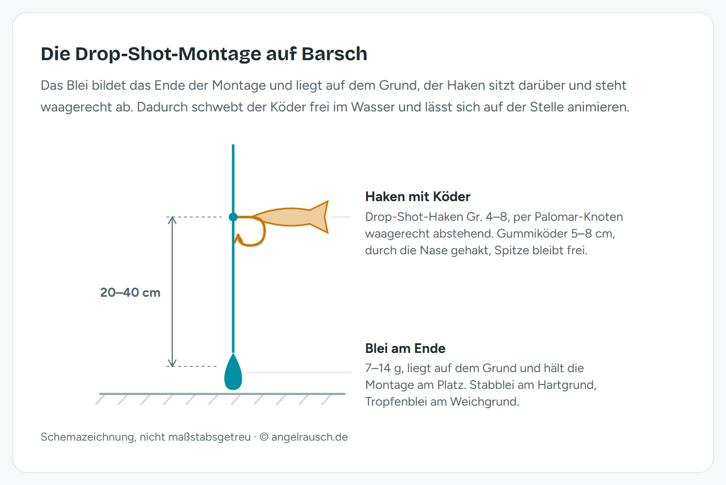 Schemazeichnung der Drop-Shot-Montage auf Barsch: An der Hauptschnur sitzt oben ein waagerecht abstehender Haken der Größe 4 bis 8 mit einem 5 bis 8 cm langen Gummiköder, 20 bis 40 cm darunter liegt ein 7 bis 14 g schweres Drop-Shot-Blei auf dem Gewässergrund