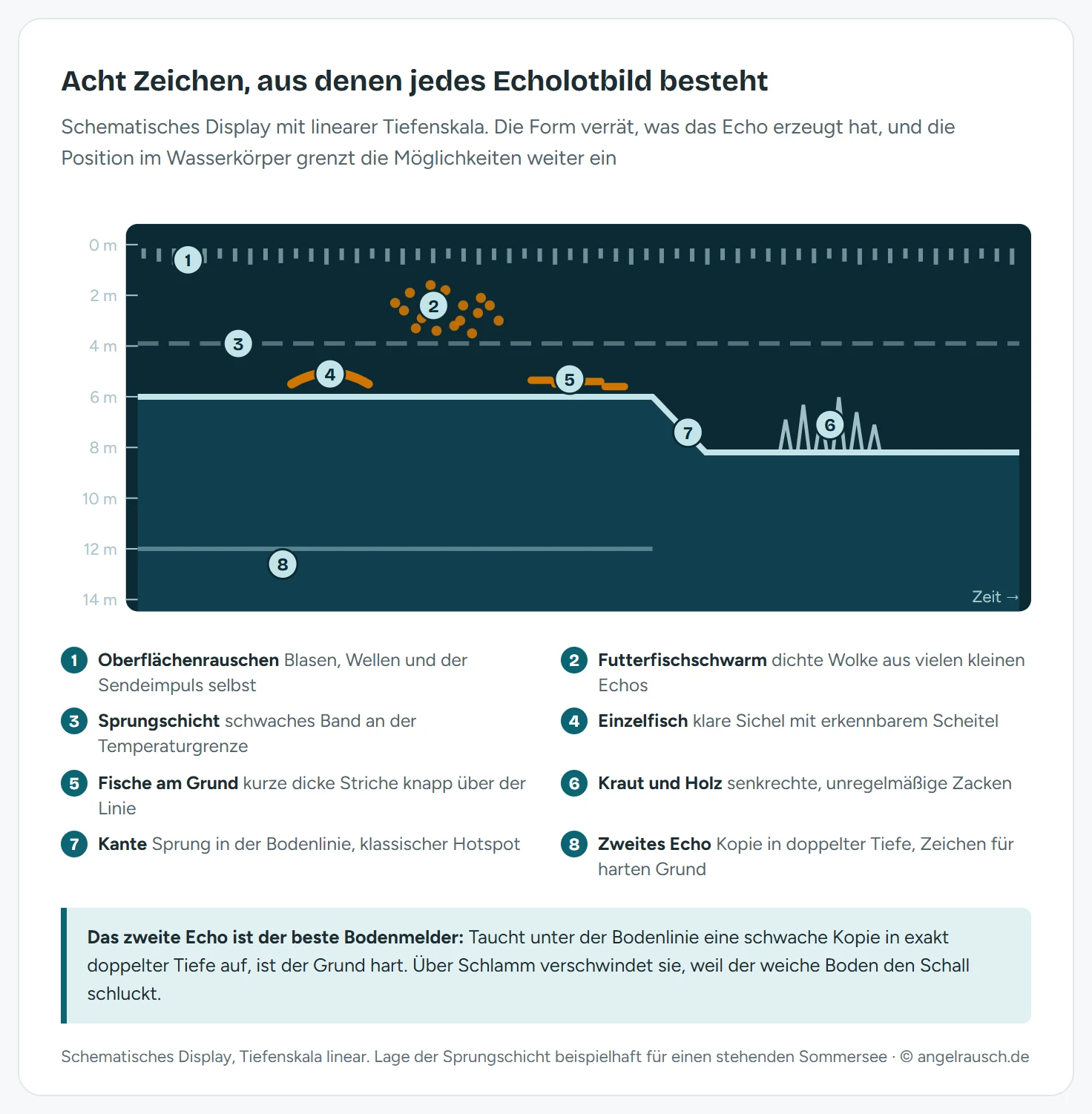 Schematisches Echolotbild mit acht nummerierten Signaturen und Legende: Oberflächenrauschen am oberen Rand, Sprungschicht als waagerechtes Band, Einzelfisch als Sichel im Freiwasser, Futterfischschwarm als dichte Wolke, Fische dicht über dem Grund als kurze Striche, Kraut als senkrechte Zacken über der Bodenlinie, harter Boden als dünne kräftige Linie mit zweitem Echo darunter und eine Kante als Sprung in der Bodenlinie