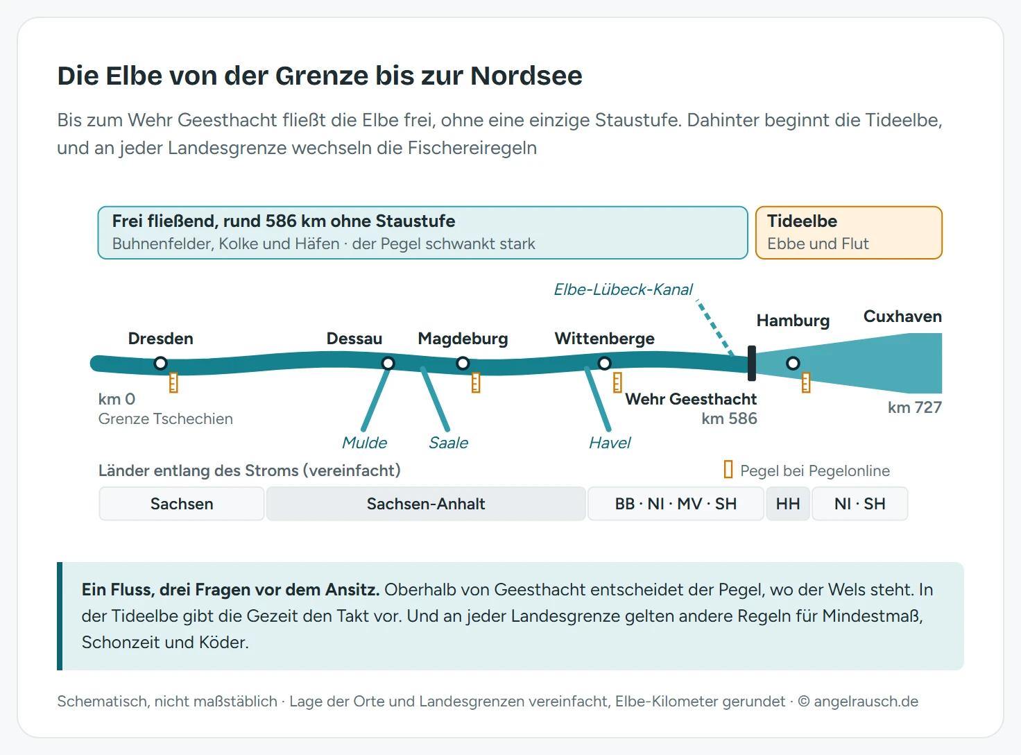 Schematische Längsansicht der deutschen Elbe von der Grenze zu Tschechien bei Kilometer 0 bis Cuxhaven bei Kilometer 727 mit Dresden, Dessau, Magdeburg, Wittenberge und Hamburg, den Mündungen von Mulde, Saale und Havel, dem abzweigenden Elbe-Lübeck-Kanal und dem Wehr Geesthacht bei Kilometer 586; links davon der frei fließende Abschnitt mit Buhnenfeldern, Kolken und Häfen, rechts die Tideelbe, darunter ein vereinfachter Streifen mit Sachsen, Sachsen-Anhalt, der Grenzstrecke von Brandenburg, Niedersachsen, Mecklenburg-Vorpommern und Schleswig-Holstein, Hamburg sowie Niedersachsen und Schleswig-Holstein an der Mündung