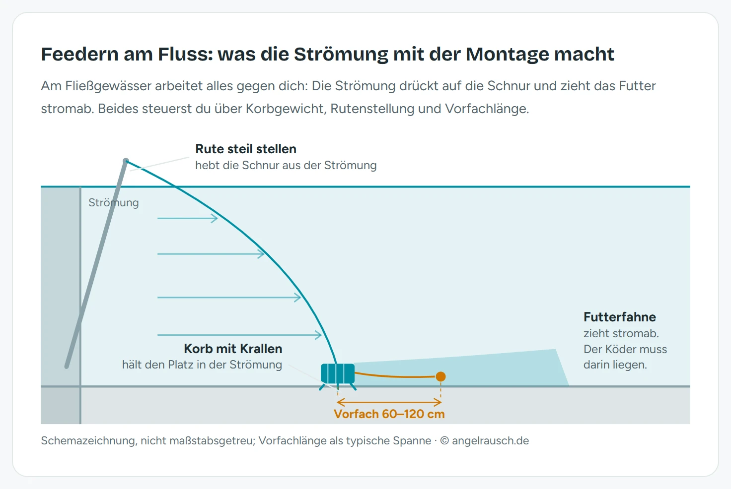 Schemazeichnung einer Feedermontage im Fluss in der Seitenansicht: die steil gestellte Rute hebt die Schnur aus der Strömung, der Krallenkorb liegt am Grund, die Futterfahne zieht stromab und der Köder am 60 bis 120 Zentimeter langen Vorfach liegt darin