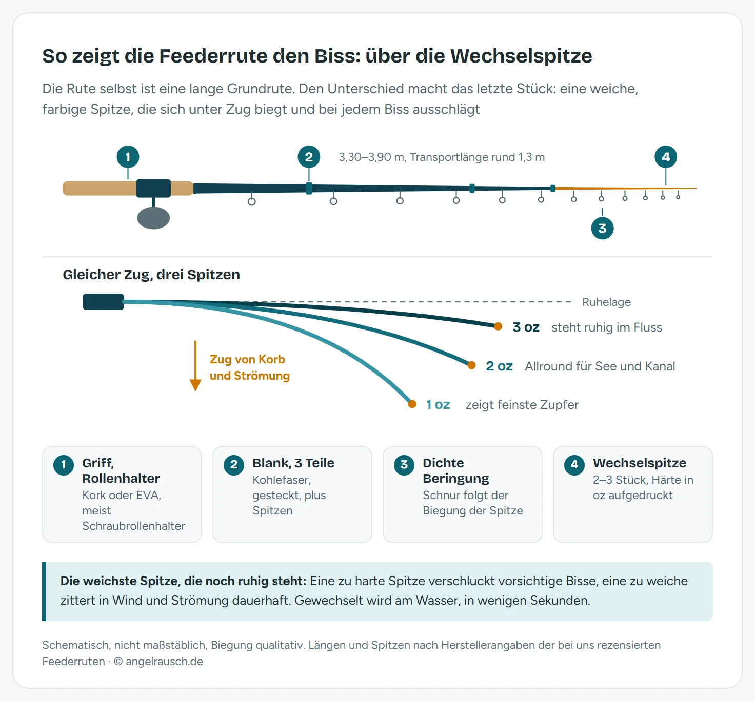 Schema einer Feederrute mit vier markierten Bauteilen: Griff mit Rollenhalter, Blank aus drei Steckteilen, dichte Beringung und farbige Wechselspitze. Darunter drei Wechselspitzen unter gleichem Zug: die 3-oz-Spitze biegt sich kaum, die 2-oz-Spitze mittel, die 1-oz-Spitze am stärksten