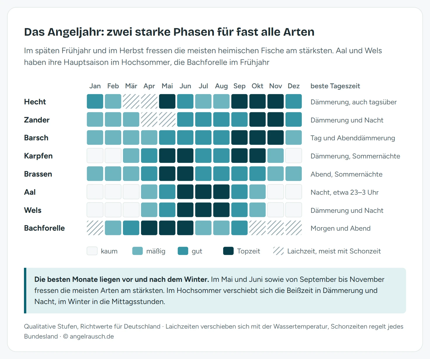 Jahreskalender als Farbraster mit acht Fischarten und zwölf Monaten in vier Stufen von kaum bis Topzeit: Hecht stark im Mai und von September bis November, Laichzeit März und April schraffiert. Zander am stärksten im Oktober und November, Laichzeit April und Mai. Barsch am stärksten von September bis November. Karpfen stark im Mai, Juni, September und Oktober, im Winter kaum. Brassen stark im Mai und Juni. Aal und Wels am stärksten von Juni bis August, gut im Mai und September, im Winter kaum. Bachforelle stark von April bis Juni, Laichzeit von Oktober bis Januar schraffiert. Rechts daneben die beste Tageszeit je Art.