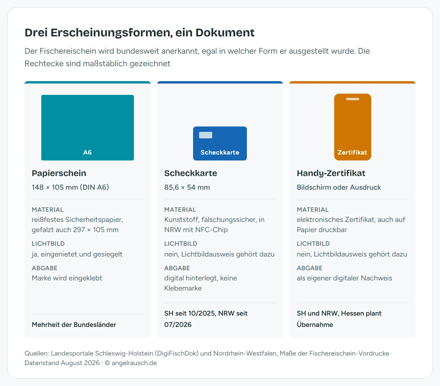 Vergleich der drei Erscheinungsformen des Fischereischeins mit maßstäblich gezeichneten Rechtecken: Papierschein 148 mal 105 Millimeter mit Lichtbild und Klebemarke, Scheckkarte 85,6 mal 54 Millimeter ohne Foto mit NFC-Chip in NRW, Handy-Zertifikat als Bildschirmanzeige oder Ausdruck