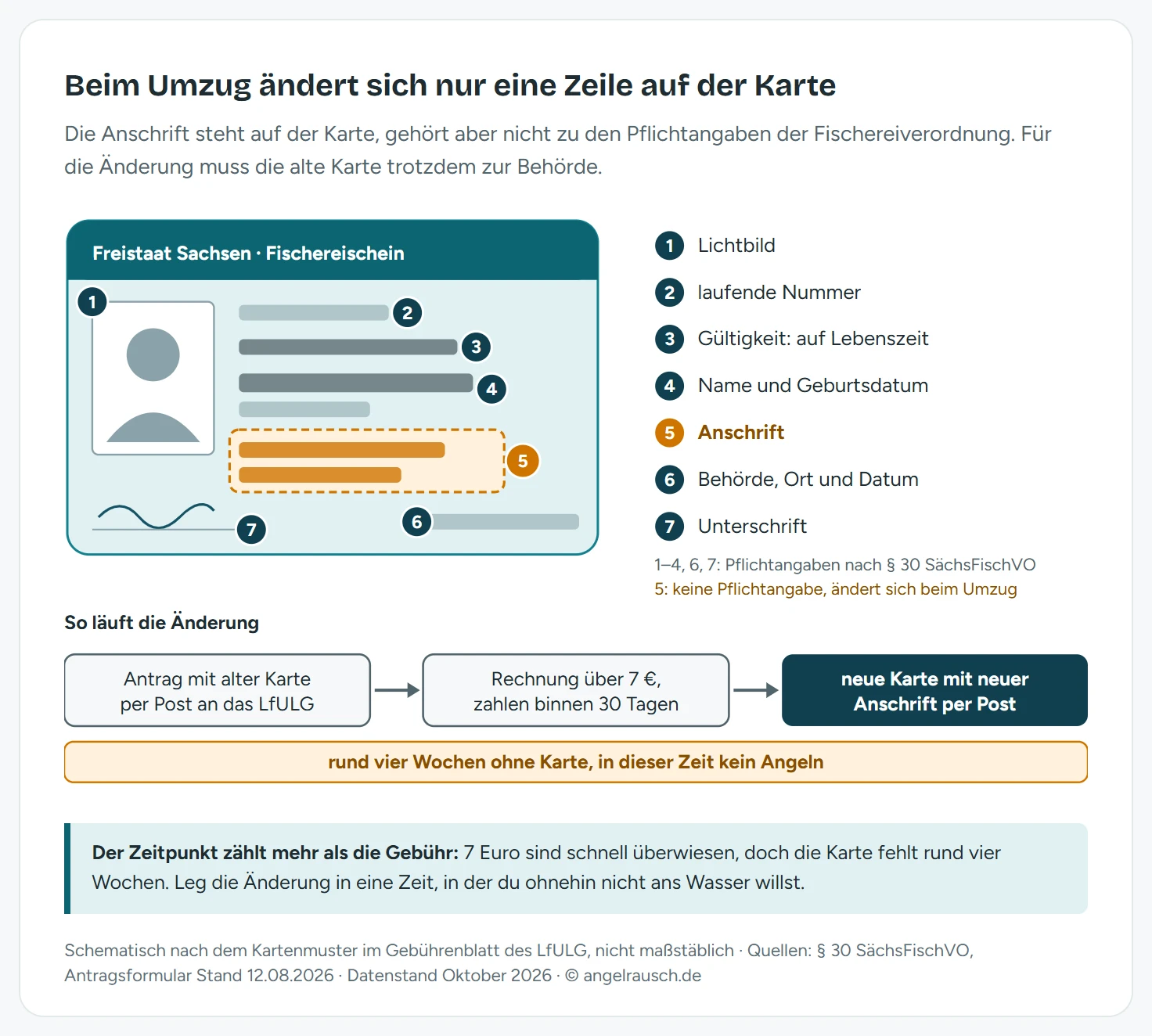 Schema des sächsischen Fischereischeins im ID-Format mit sieben nummerierten Markern: Lichtbild, Nummer des Scheins, Gültigkeit auf Lebenszeit, Name und Geburtsdatum, die hervorgehobene Anschrift, ausstellende Behörde mit Ort und Datum sowie Unterschrift. Darunter ein Zeitstrahl der Adressänderung über rund vier Wochen, vom Versand des alten Scheins über die Rechnung und die Zahlung binnen 30 Tagen bis zur neuen Karte, mit einer orange markierten Spanne ohne Schein.