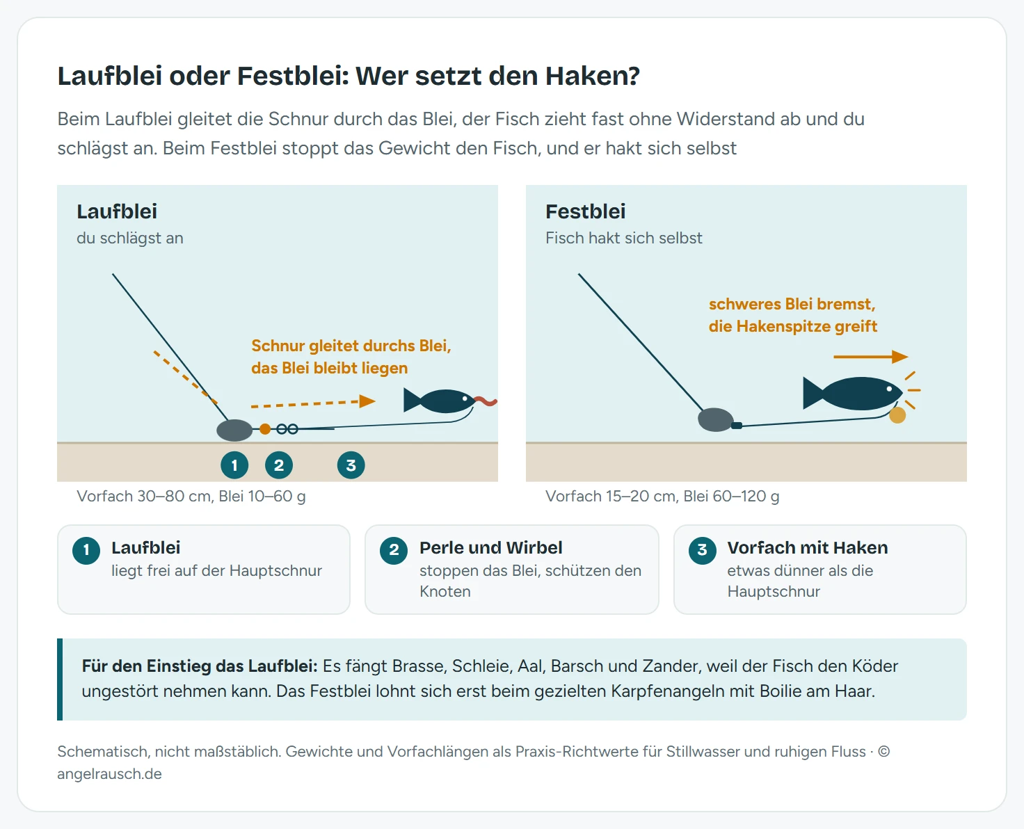 Zwei Schemazeichnungen von Grundmontagen. Links die Laufbleimontage mit Laufblei, Perle und Wirbel als Stopper und einem Vorfach von 30 bis 80 Zentimetern mit Wurm: Ein Fisch zieht den Köder weg, die Schnur gleitet durch das liegende Blei. Rechts die Festbleimontage für Karpfen mit kurzem Vorfach und Köder am Haar: Das schwere Blei bremst den wegschwimmenden Karpfen, die Hakenspitze greift von selbst