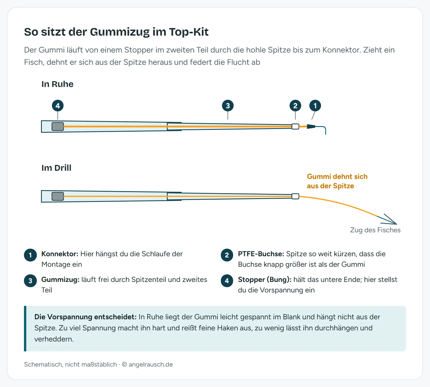 Längsschnitt durch das Top-Kit einer Kopfrute: Stopper im unteren Ende des zweiten Teils, Gummizug durch beide Teile bis zur PTFE-Buchse an der gekürzten Spitze, außen der Konnektor. Darunter derselbe Aufbau im Drill, der Gummi tritt gespannt aus der Spitze aus.