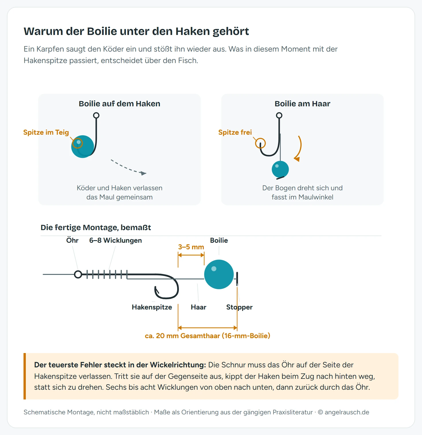 Gegenüberstellung zweier Montagen im Schnitt: Links steckt der Boilie auf dem Hakenbogen und blockiert die Spitze, der Karpfen stößt beides gemeinsam aus. Rechts hängt der Boilie an einem Haar unter dem Haken, der freie Hakenbogen dreht sich beim Ausstoßen und fasst im Maulwinkel. Darunter die bemaßte Haarmontage mit Abständen von 3 bis 5 Millimetern zwischen Hakenbogen und Köder.