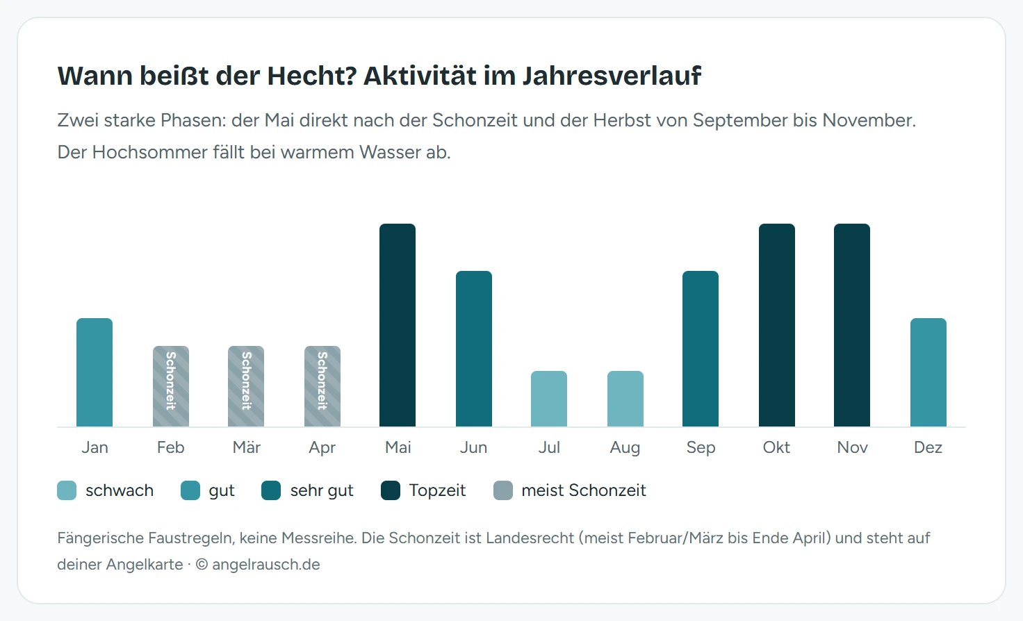 Balkendiagramm der Hecht-Beißaktivität über zwölf Monate: Topzeiten im Mai und von September bis November, schwache Aktivität im Hochsommer Juli und August, Februar bis April als Schonzeit grau markiert