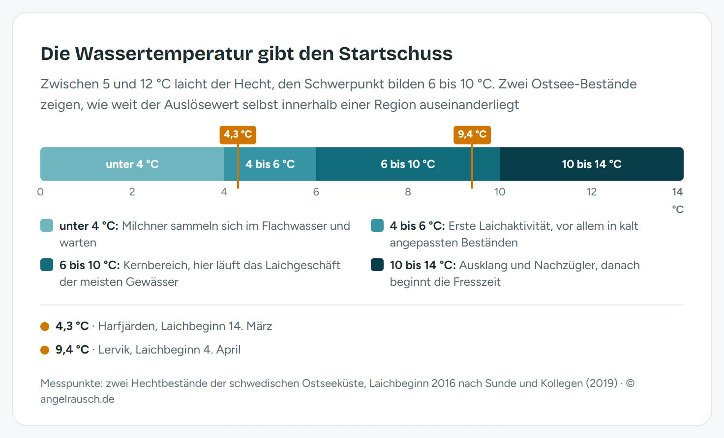 Temperaturskala von 0 bis 14 Grad mit vier Zonen für das Hechtlaichen: unter 4 Grad sammeln sich die Männchen im Flachwasser, 4 bis 6 Grad erste Laichaktivität, 6 bis 10 Grad Kernbereich, 10 bis 14 Grad Ausklang. Eingezeichnet sind zwei Messpunkte schwedischer Ostsee-Bestände bei 4,3 und 9,4 Grad