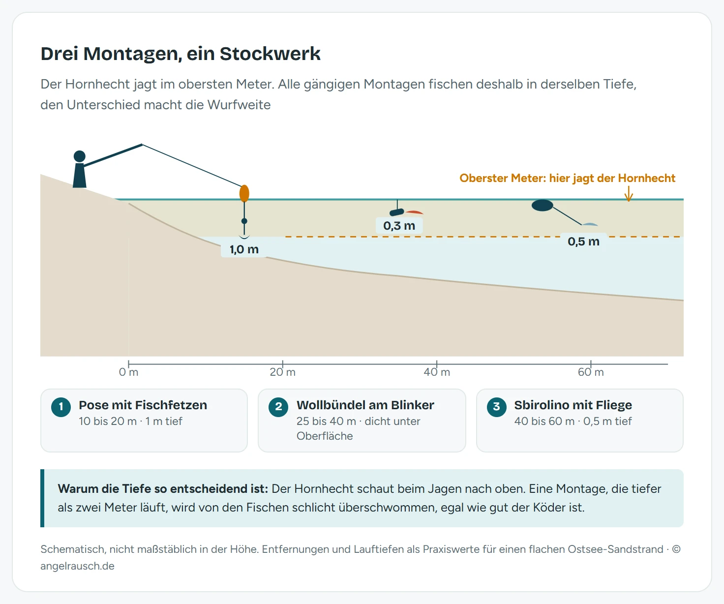 Maßstäblicher Schnitt von einem flachen Ostseestrand bis 70 Meter hinaus: bei 15 Meter Entfernung die Posenmontage mit Fischfetzen in 1 Meter Tiefe, bei 35 Metern das Wollbündel am Blinker in 0,3 Meter Tiefe, bei 55 Metern der Sbirolino mit Fliege in 0,5 Meter Tiefe. Ein orange hinterlegtes Band markiert den obersten Meter als Jagdrevier des Hornhechts, der Grund fällt von der Uferlinie auf rund 2,7 Meter ab