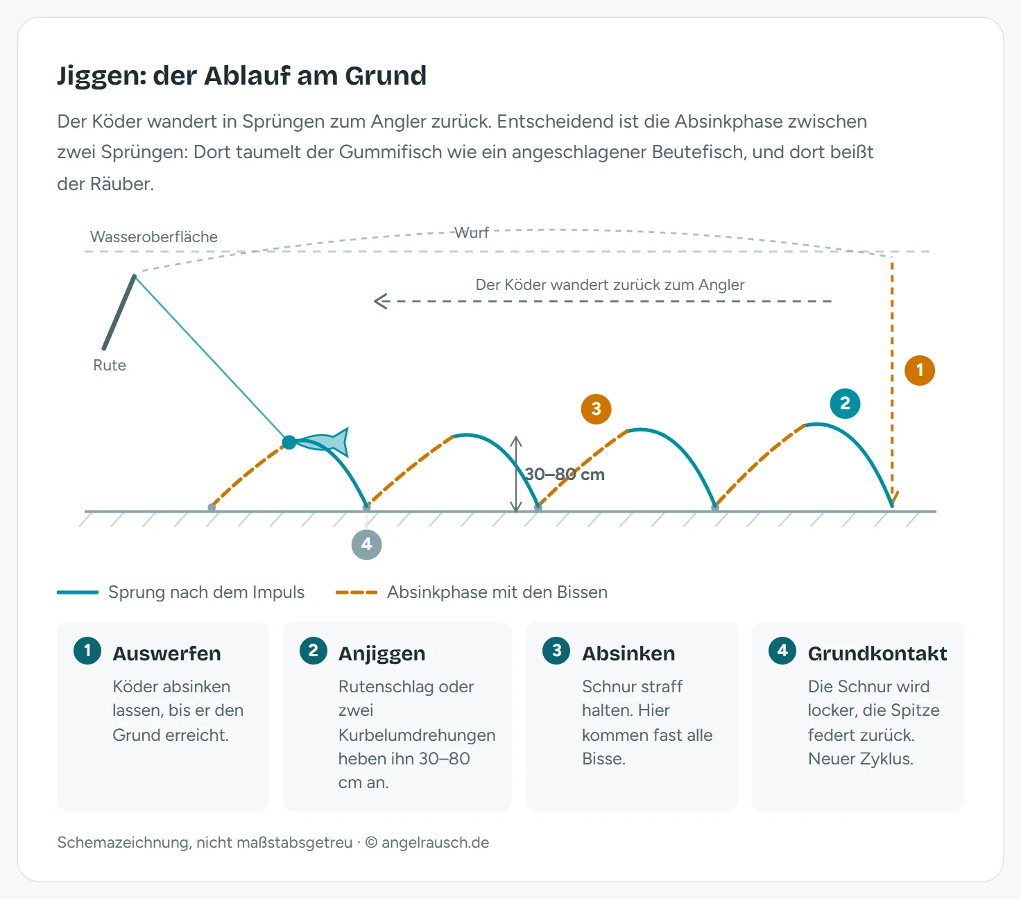 Schemazeichnung des Jiggens: Der Gummifisch am Bleikopf wandert in Sprüngen von 30 bis 80 Zentimetern Höhe über den Gewässergrund zurück zum Angler, mit den vier Phasen Auswerfen, Anjiggen, Absinken und Grundkontakt