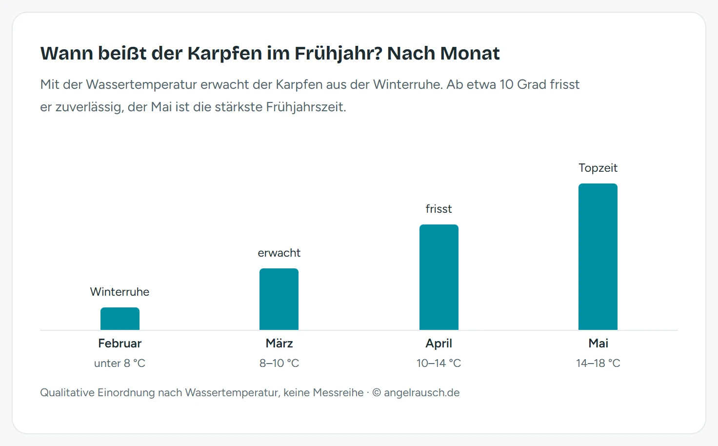 Balkendiagramm der Karpfen-Beißchance im Frühjahr nach Monat: Februar Winterruhe (niedrigster Balken, unter 8 Grad), März erwacht (8 bis 10 Grad), April frisst (10 bis 14 Grad), Mai Topzeit (höchster Balken, 14 bis 18 Grad)