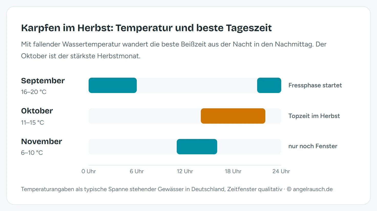 Drei Zeitbänder über 24 Stunden für die Herbstmonate: September mit Beißfenstern nachts von 21 bis 6 Uhr bei 16 bis 20 Grad, Oktober als Topzeit von 14 bis 22 Uhr bei 11 bis 15 Grad, November nur noch von 11 bis 16 Uhr bei 6 bis 10 Grad