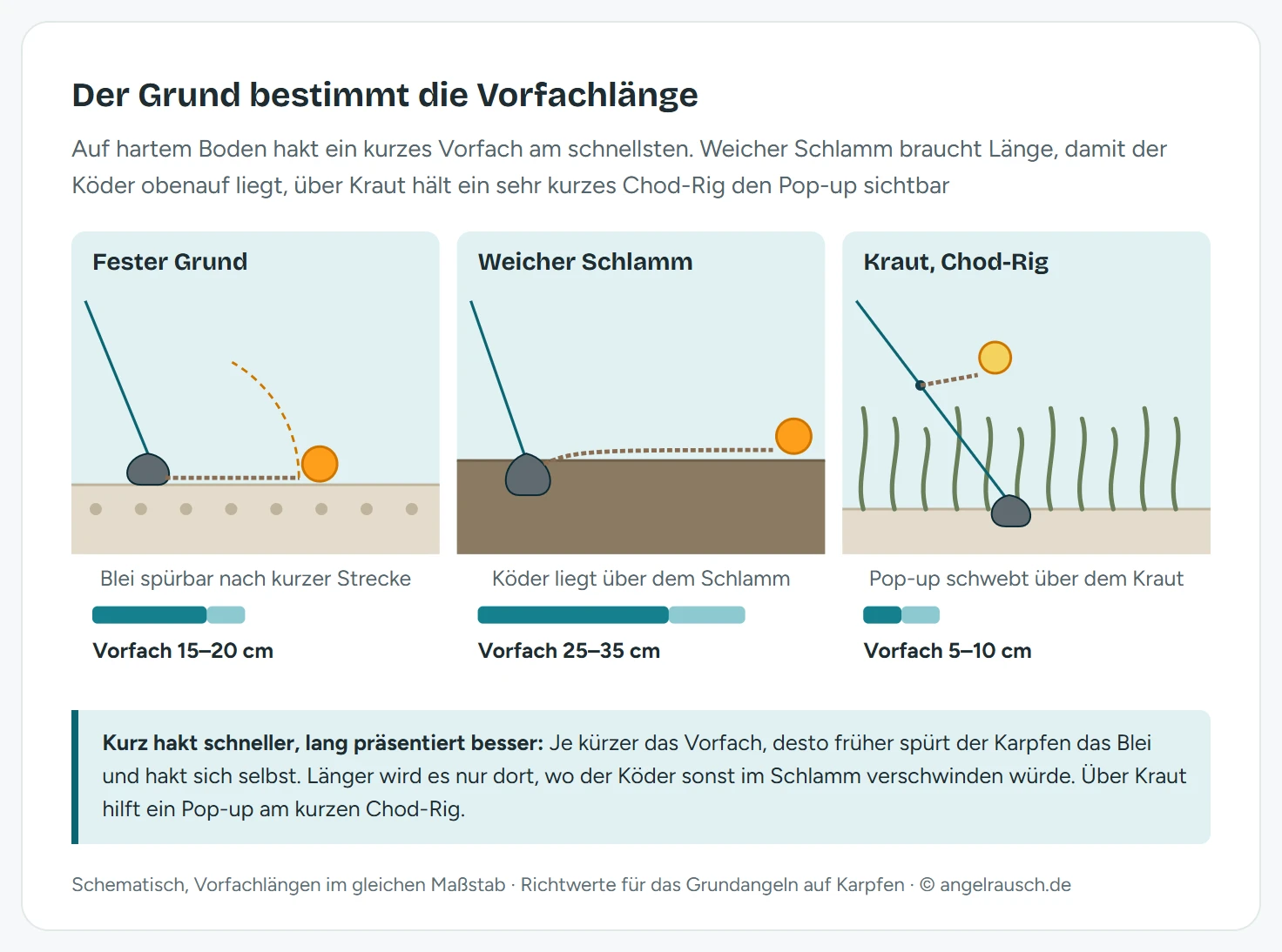 Drei Gewässerschnitte nebeneinander: auf festem Grund ein Vorfach von 15 bis 20 cm mit gestricheltem Bogen für den Weg bis zum Blei, auf weichem Schlamm ein langes Vorfach von 25 bis 35 cm über dem halb versunkenen Blei, im Kraut ein Chod-Rig von 5 bis 10 cm mit einem Pop-up über den Krautspitzen. Darunter Balken mit den Vorfachlängen im gleichen Maßstab.