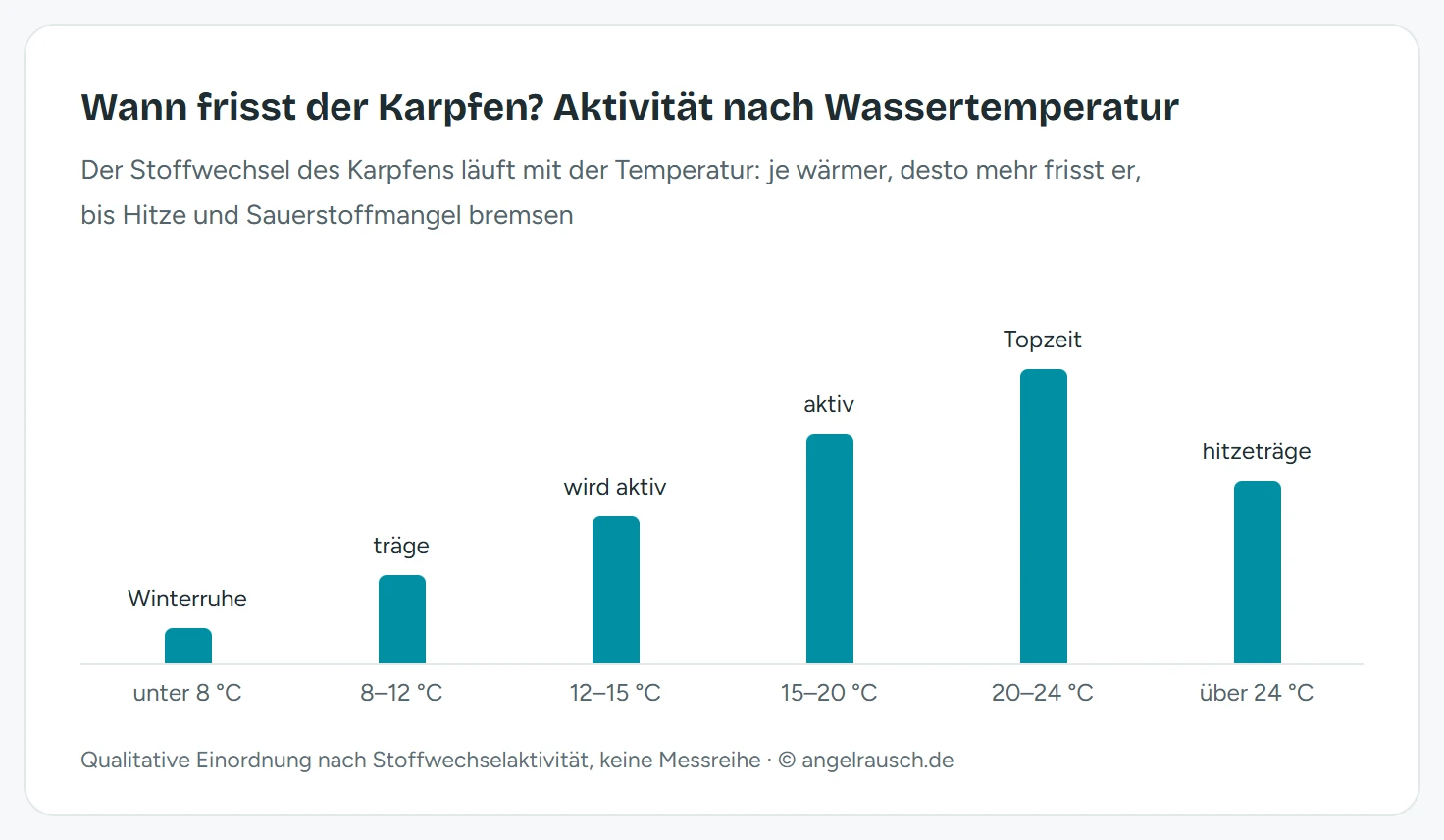 Balkendiagramm der Karpfen-Fressaktivität nach Wassertemperatur: Winterruhe unter 8 Grad, träge bis 12 Grad, zunehmend aktiv bis 20 Grad, Topzeit bei 20 bis 24 Grad, hitzeträge über 24 Grad