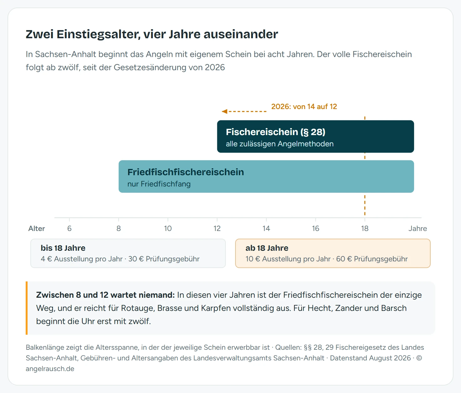 Waagerechte Altersachse von 6 bis 18 Jahren und darüber, die zeigt, ab wann in Sachsen-Anhalt welcher Fischereischein möglich ist. Ab dem vollendeten 8. Lebensjahr beginnt der Balken für den Friedfischfischereischein, der bis ins Erwachsenenalter durchläuft und nur zum Friedfischfang berechtigt. Ab dem vollendeten 12. Lebensjahr beginnt darüber der Balken für den vollen Fischereischein nach Paragraf 28, der zu allen zulässigen Angelmethoden berechtigt; ein Marker weist darauf hin, dass diese Grenze mit der Gesetzesänderung 2026 von 14 auf 12 Jahre gesenkt wurde. Bei 18 Jahren markiert eine senkrechte Linie den Gebührensprung: Bis dahin kosten Ausstellung 4 Euro pro Jahr und Prüfung 30 Euro, danach 10 Euro pro Jahr und 60 Euro