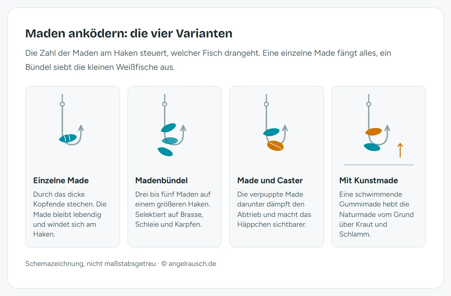 Vier Schemazeichnungen zum Anködern von Maden: einzelne Made durch das Kopfende gestochen, Bündel aus drei Maden am größeren Haken, Made kombiniert mit einem Caster darunter, sowie eine schwimmende Kunstmade als Auftrieb über der Naturmade