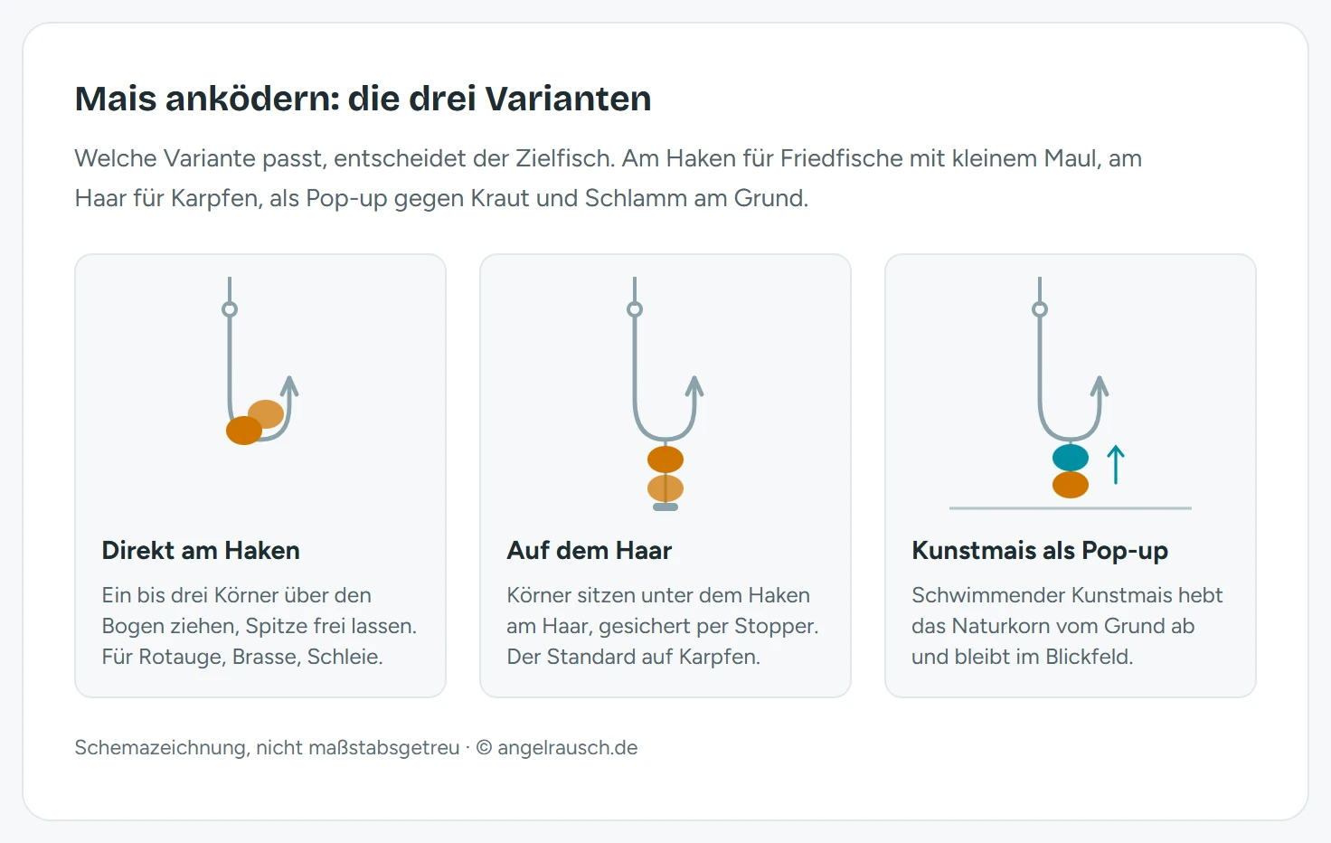 Schemazeichnung mit drei Anköderungsvarianten für Mais: links zwei Körner direkt über den Hakenbogen gezogen mit freier Spitze, in der Mitte drei Körner auf dem Haar unter dem Haken mit Stopper gesichert, rechts ein schwimmender Kunstmais, der ein Naturkorn vom Gewässergrund abhebt