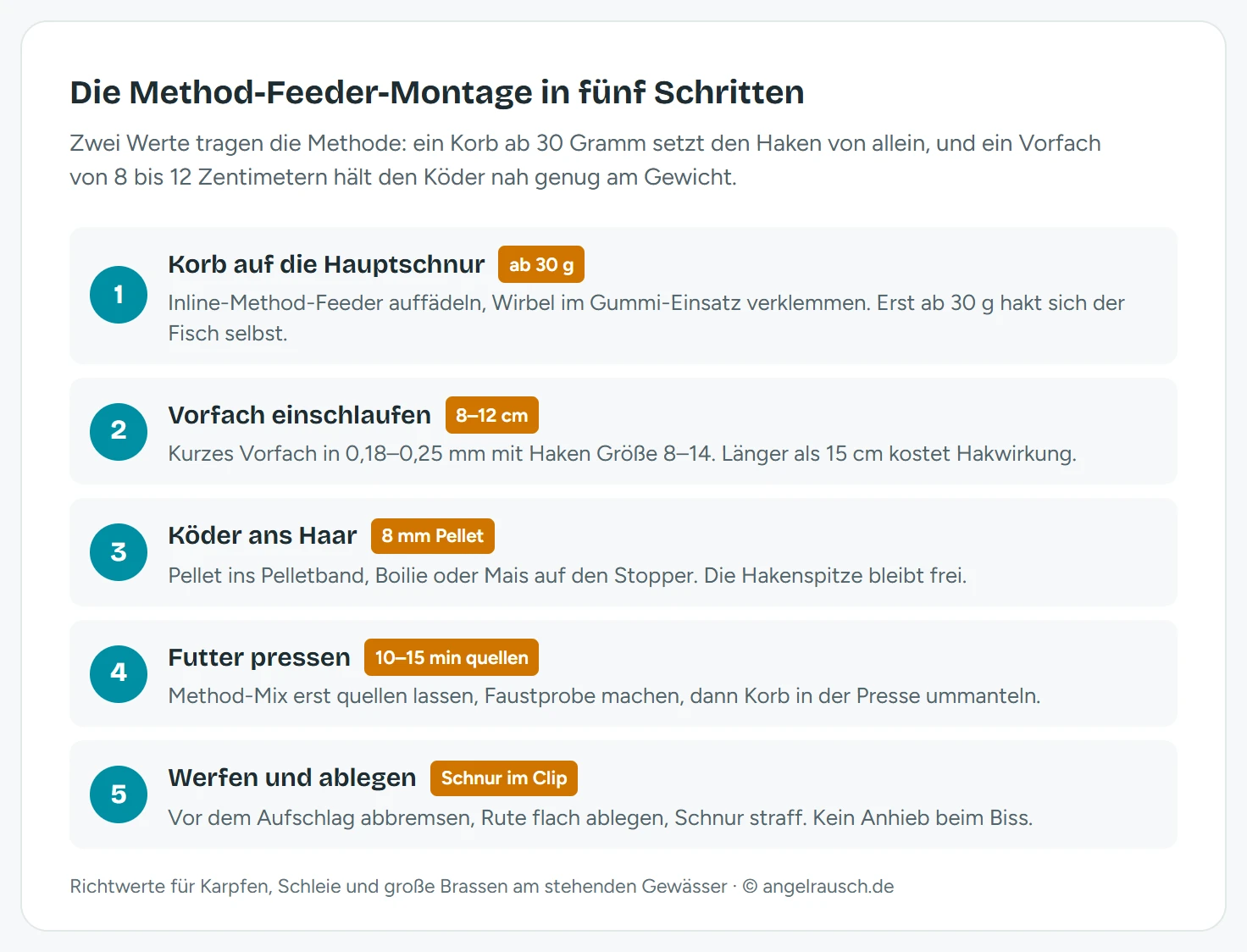 Schema der Method-Feeder-Montage in fünf Schritten: Schritt 1 Inline-Korb ab 30 Gramm auf die Hauptschnur fädeln, Schritt 2 Vorfach 8 bis 12 Zentimeter mit Haken Größe 8 bis 14 einschlaufen, Schritt 3 Köder ans Haar, 8-Millimeter-Pellet oder Wafter, Schritt 4 Method-Mix in die Presse und Korb eindrücken, Schritt 5 Köder in die Mulde legen und werfen