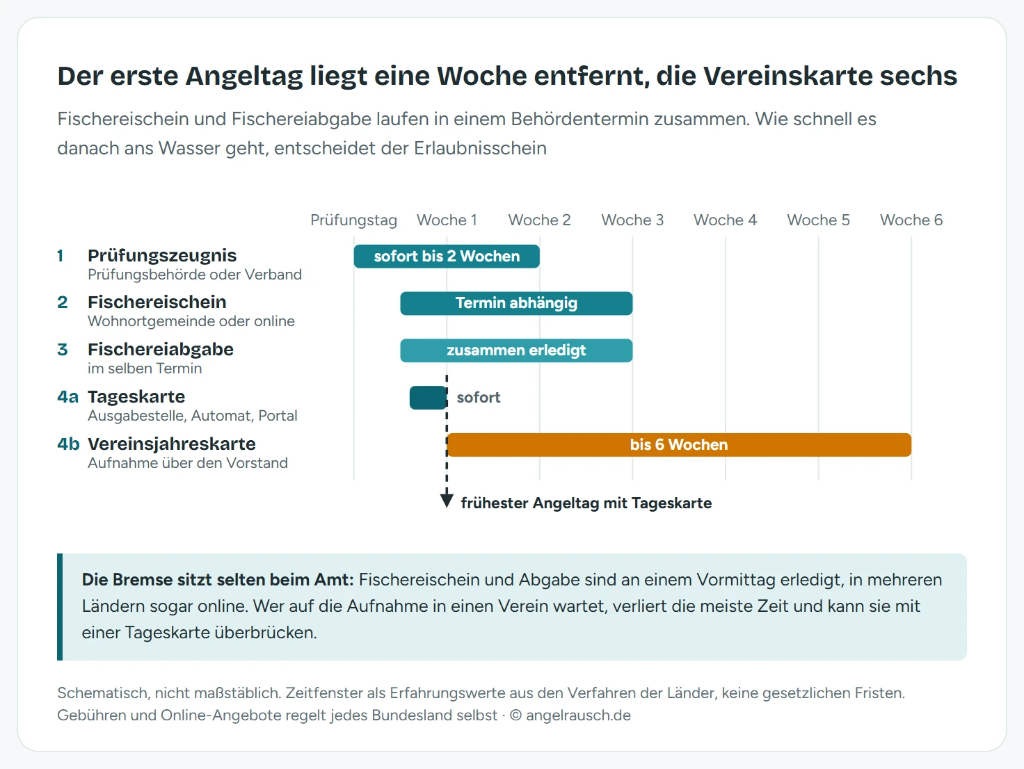 Zeitachse von der bestandenen Fischerprüfung bis zum ersten Angeltag über sechs Wochen: Das Prüfungszeugnis kommt in Woche 0 bis 2, der Fischereischein wird bei der Gemeinde in Woche 1 bis 3 beantragt, die Fischereiabgabe wird im selben Termin bezahlt, eine Tageskarte gibt es sofort, während eine Vereinsaufnahme mit Jahreskarte bis zu sechs Wochen dauern kann