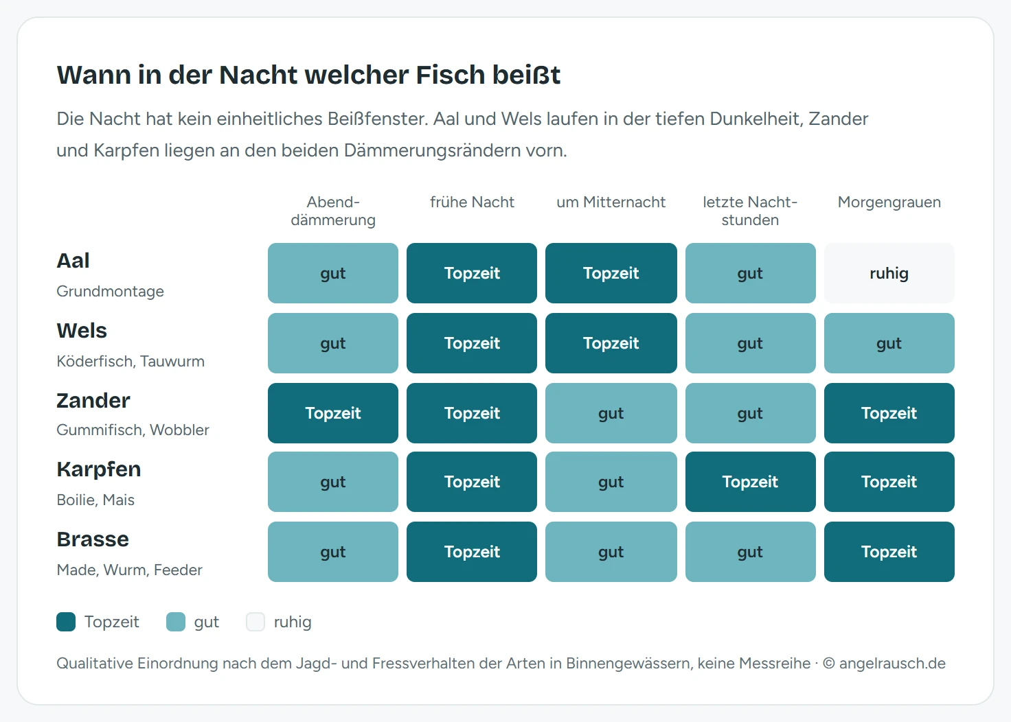 Matrix mit fünf Fischarten und fünf Nachtphasen: Aal und Wels haben ihre Topzeit in der frühen Nacht und um Mitternacht, Zander an Abenddämmerung, früher Nacht und Morgengrauen, Karpfen in der frühen Nacht, den letzten Nachtstunden und im Morgengrauen, Brasse in der frühen Nacht und im Morgengrauen