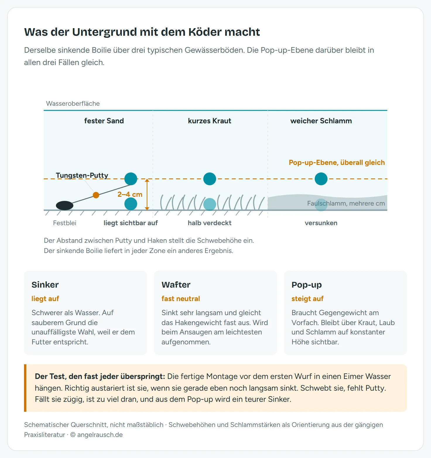 Querschnitt durch den Gewässergrund mit drei Untergründen: fester Sand, kurzes Kraut und weicher Schlamm. Darüber drei Ködervarianten im Vergleich. Der Sinker liegt auf Sand sichtbar auf, versinkt im Schlamm und verschwindet im Kraut. Der Wafter liegt mit Restauftrieb obenauf. Der Pop-up schwebt zwei bis vier Zentimeter über dem Grund, gehalten von einem Tungsten-Putty am Vorfach, dessen Abstand zum Haken die Schwebehöhe bestimmt.