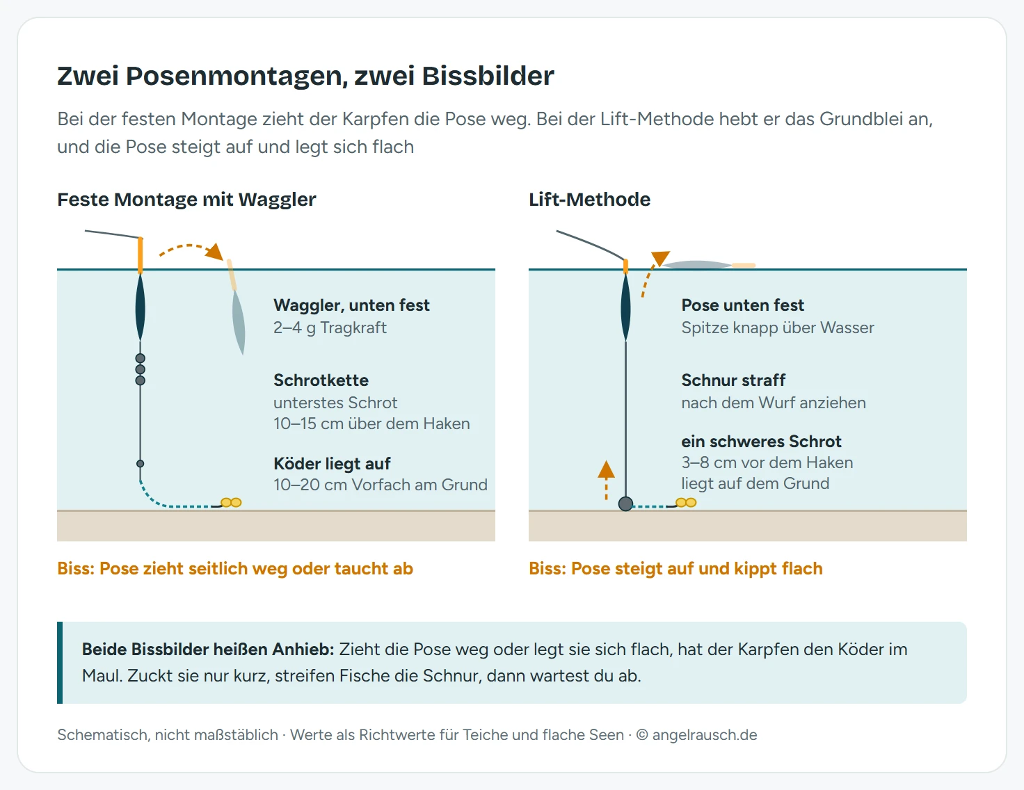 Zwei schematische Schnitte durch flaches Wasser: links die feste Montage mit Waggler, unten fixiert, Schrotkette mit dem untersten Schrot 10 bis 15 cm über dem Haken und Köder, der mit 10 bis 20 cm Vorfach auf dem Grund liegt, beim Biss zieht die Pose seitlich weg oder taucht ab. Rechts die Lift-Methode mit straffer Schnur und einem schweren Schrot 3 bis 8 cm vor dem Haken auf dem Grund, beim Biss steigt die Pose auf und kippt flach.