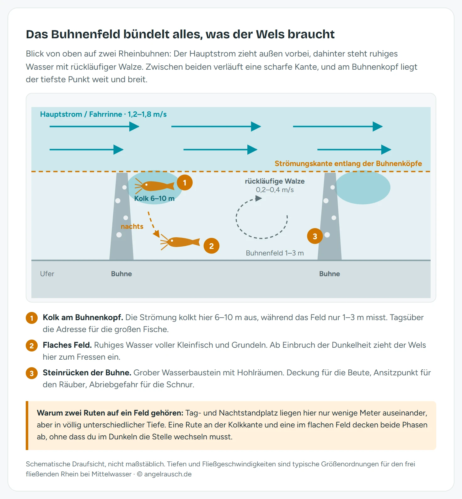 Draufsicht auf ein Rheinbuhnenfeld: Der Hauptstrom zieht mit 1,2 bis 1,8 Metern pro Sekunde am oberen Bildrand vorbei, zwei Steinbuhnen ragen vom Ufer aus quer in den Fluss und begrenzen das Buhnenfeld dazwischen; hinter dem stromab gelegenen Buhnenkopf ist ein Auskolkungsloch von 6 bis 10 Metern Tiefe eingezeichnet, im Feld selbst kreist eine rückläufige Walze mit 0,2 bis 0,4 Metern pro Sekunde; eine gestrichelte Linie entlang der Buhnenköpfe markiert die Strömungskante, drei nummerierte Marker zeigen den Tagesstandplatz im Kolk, den Nachtstandplatz im flachen Feld und die Steinpackung am Buhnenrücken