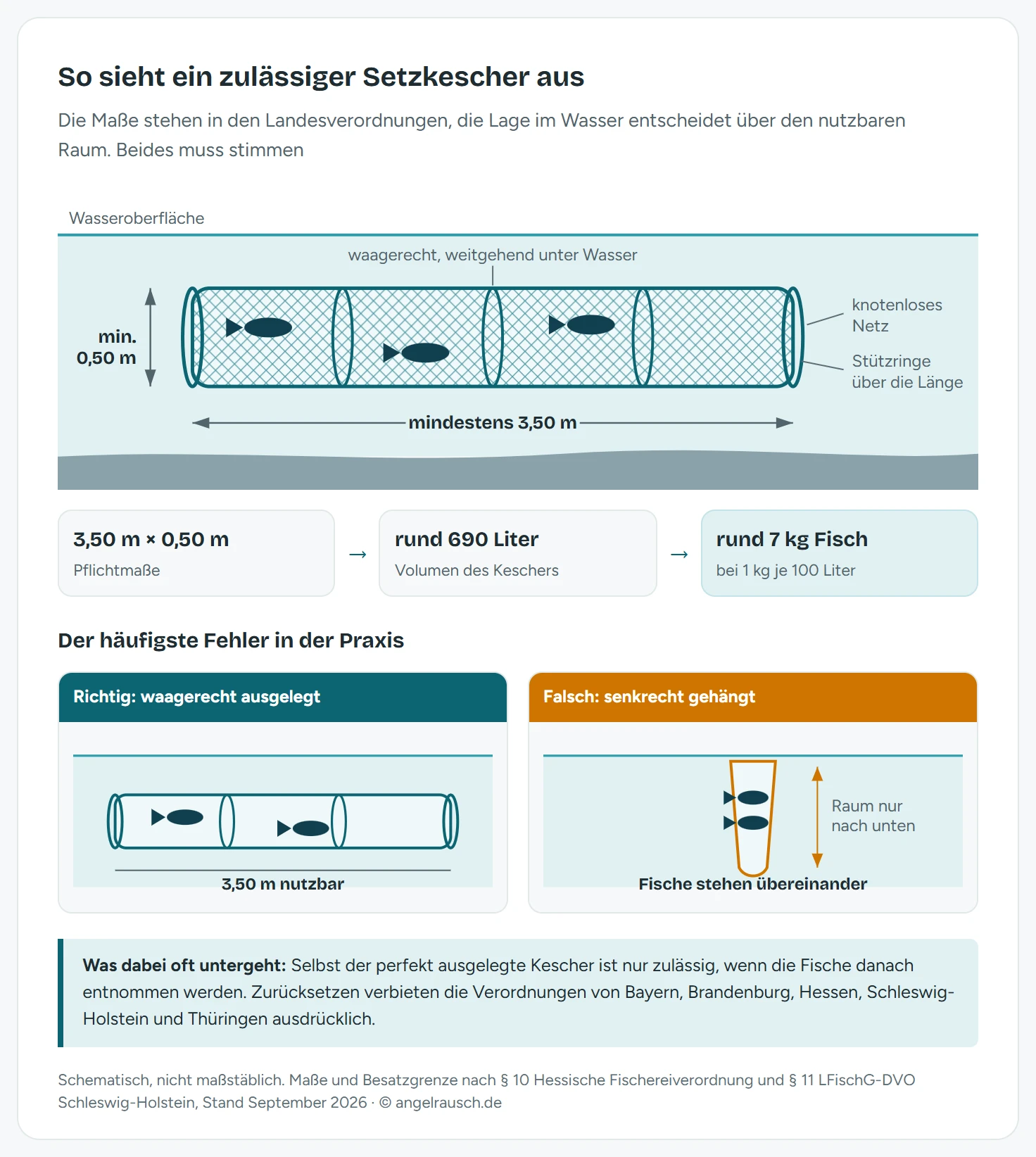 Schematischer Schnitt durch einen waagerecht im Wasser liegenden Setzkescher mit den Pflichtmaßen: mindestens 3,50 Meter Länge, Ringdurchmesser mindestens 0,50 Meter, Stützringe über die ganze Länge gegen Zusammenfallen, knotenloses Netzmaterial. Der Kescher liegt weitgehend unter Wasser parallel zur Oberfläche in einer strömungsberuhigten Zone. Daneben die Besatzgrenze von einem Kilogramm Fisch je hundert Liter Volumen und der Vergleich zu einem falsch aufgestellten, senkrecht hängenden Kescher