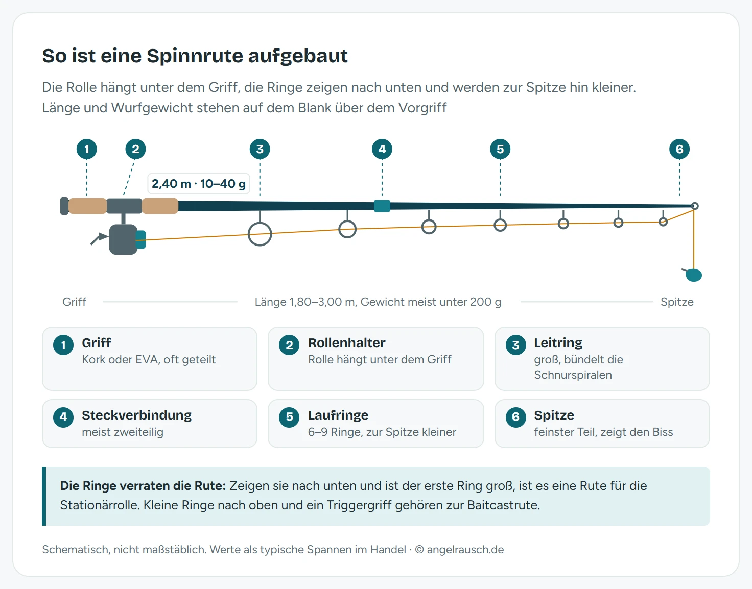 Schemazeichnung einer zweiteiligen Spinnrute mit Stationärrolle, von links nach rechts nummeriert: Griff mit Endkappe, Rollenhalter mit der darunter hängenden Rolle, großer Leitring nahe der Rolle, die Steckverbindung in der Mitte, kleiner werdende Laufringe und die Spitze mit Spitzenring. Die Ringe zeigen nach unten, die Schnur läuft von der Rolle durch alle Ringe zum Köder. Auf dem Blank über dem Vorgriff stehen Länge und Wurfgewicht