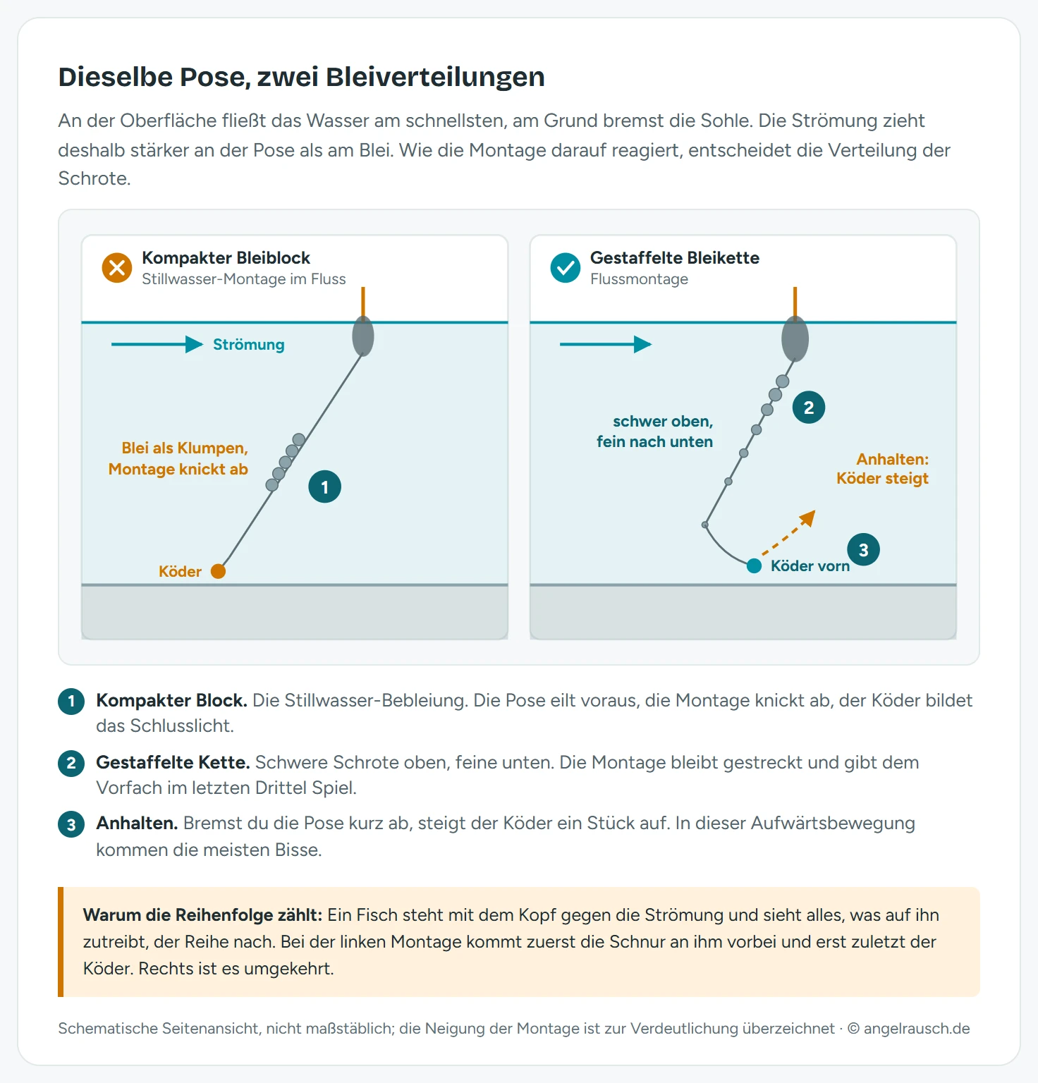Zwei nebeneinandergestellte Seitenansichten derselben Stippmontage in der Strömung: links eine kompakte Stillwasser-Bebleiung, bei der die Schrote dicht beieinander sitzen, die Schnur unter der Pose steil und der Köder hinter dem Blei nachschleift; rechts eine gestaffelte Flusskette mit schweren Schroten oben und immer feineren nach unten, bei der die Montage gestreckt läuft und der Köder dem Blei vorausläuft; ein gebogener Pfeil zeigt, wie der Köder beim Anhalten der Pose aufsteigt, darunter die Fließrichtung mit Pfeilen und die Grundlinie