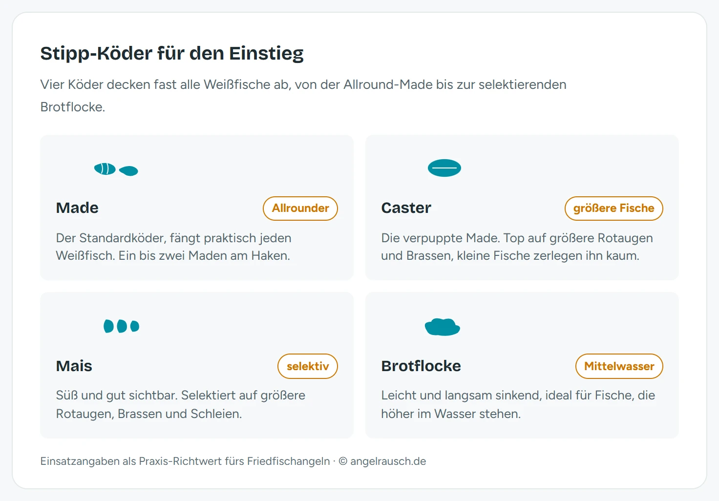Übersicht der vier wichtigsten Stipp-Köder: Made (Standardköder für alle Weißfische), Caster (verpuppte Made, für größere Rotaugen und Brassen), Mais (selektiert auf größere Fische), Brotflocke (leichter Köder für die obere Wasserschicht). Zu jedem Köder der Einsatz