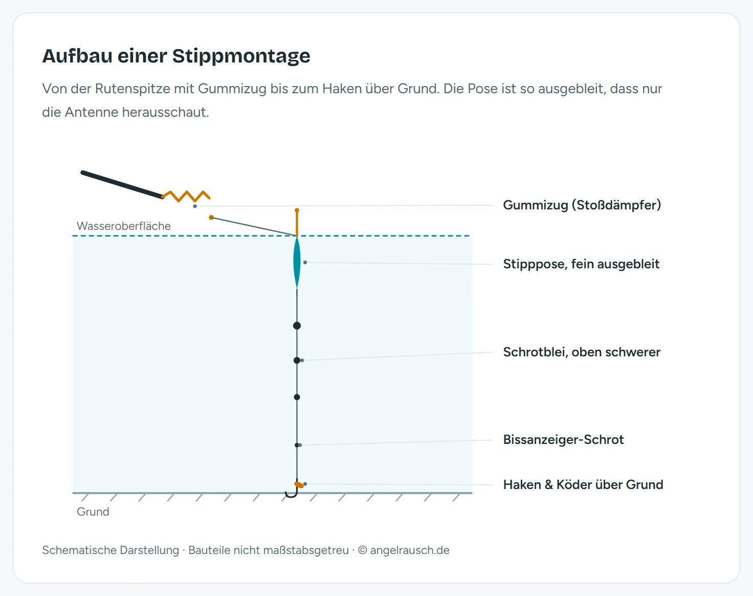 Schema einer Stippmontage von oben nach unten: Rutenspitze mit Gummizug und Konnektor, Wasseroberfläche mit fein ausgebleiter Stipppose (nur die Antenne schaut heraus), Hauptschnur mit verteilten Schrotbleien, kurzes Vorfach mit feinem Haken und Köder knapp über dem Grund